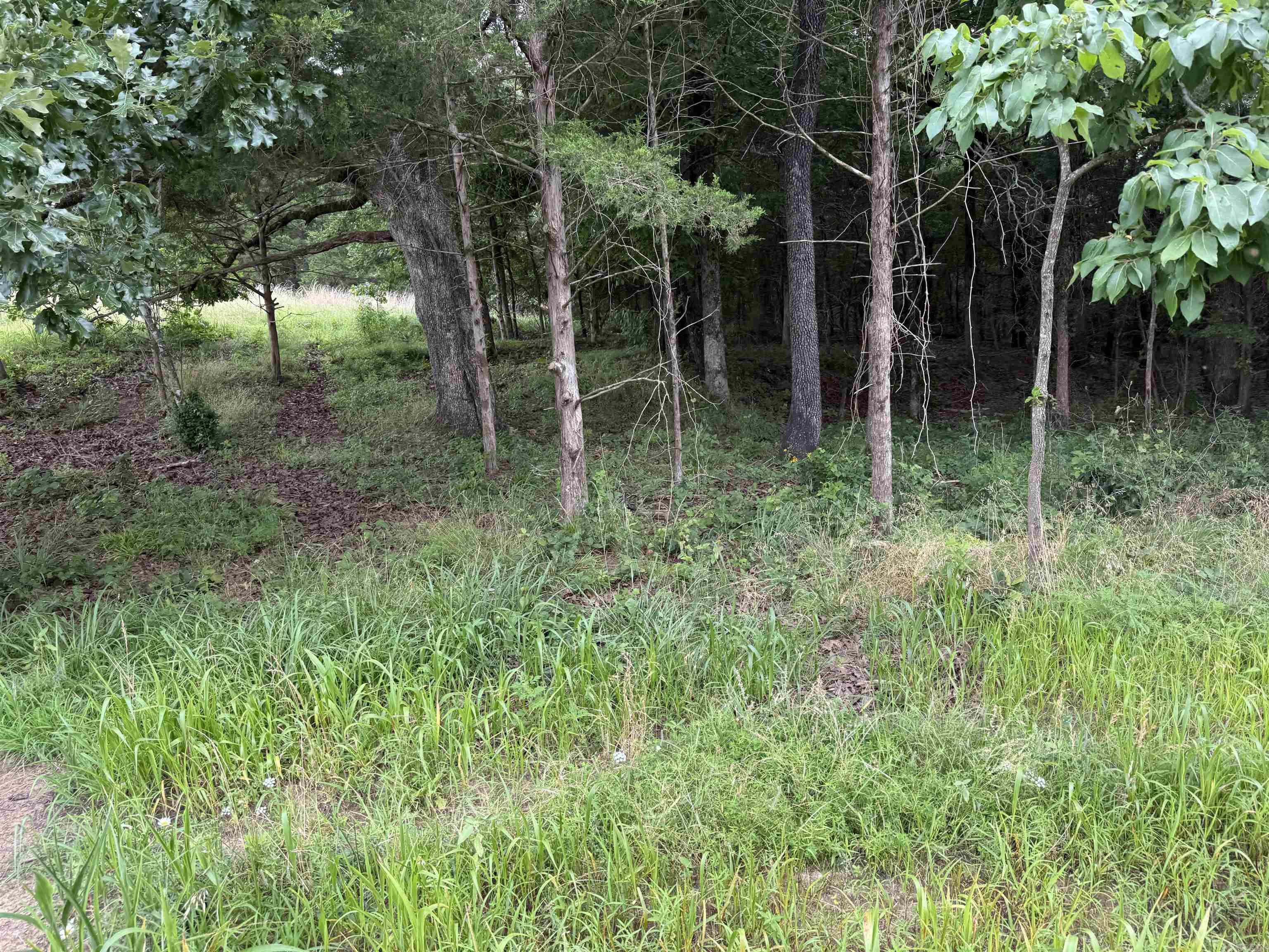 801 Fox Den Road Property Photo 12