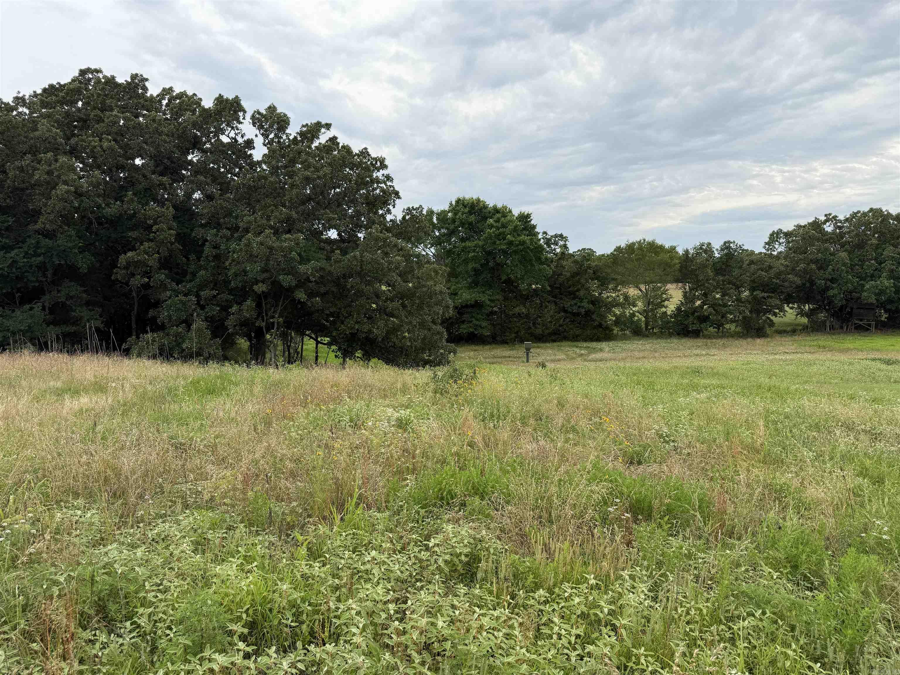 801 Fox Den Road Property Photo 13