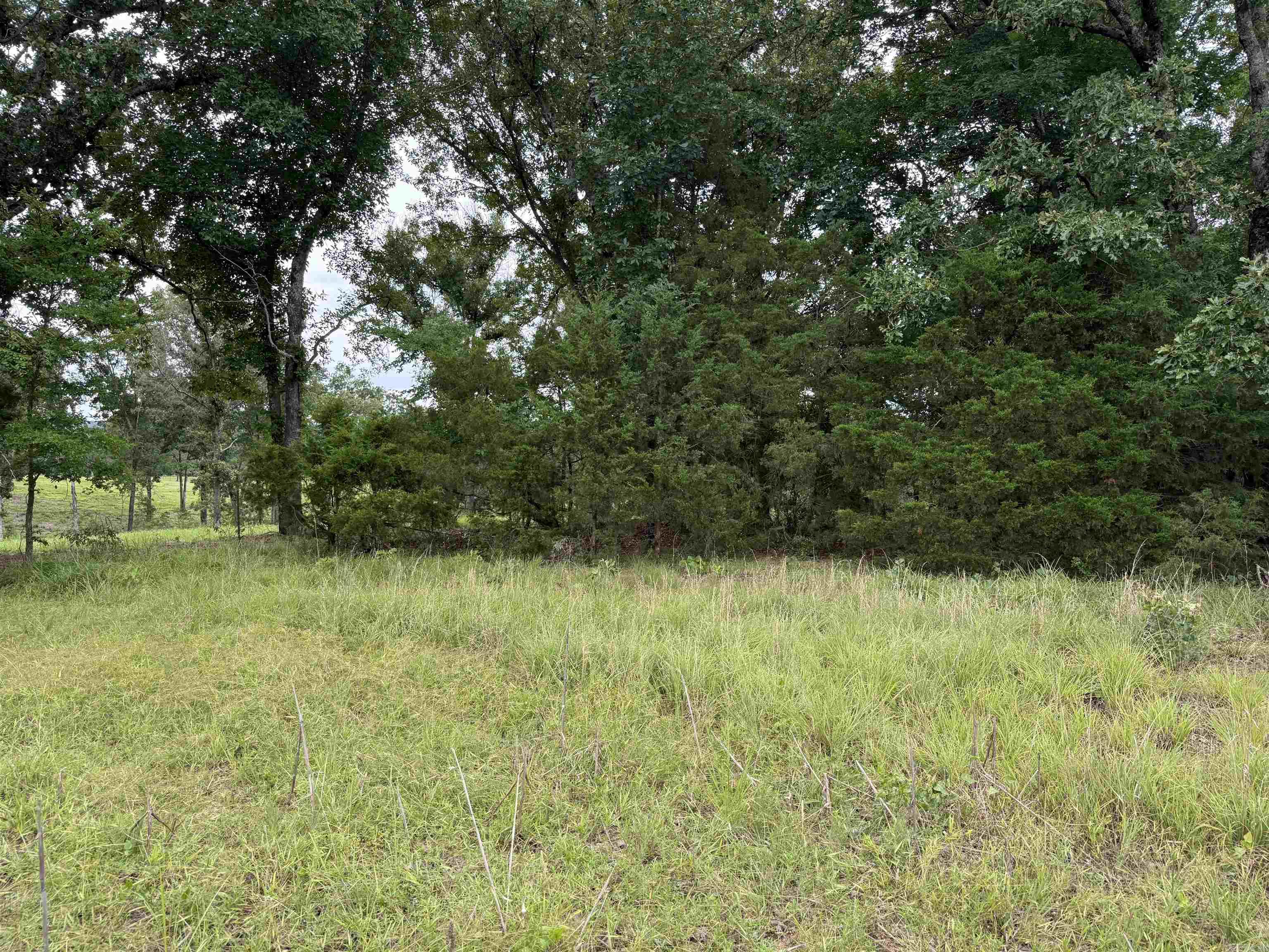 801 Fox Den Road Property Photo 15