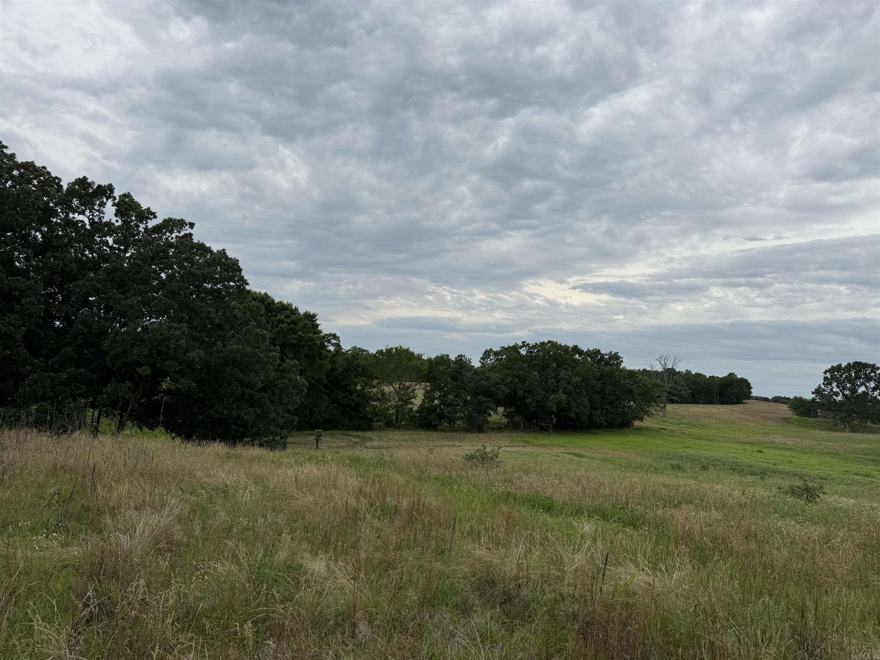 801 Fox Den Road Property Photo 17