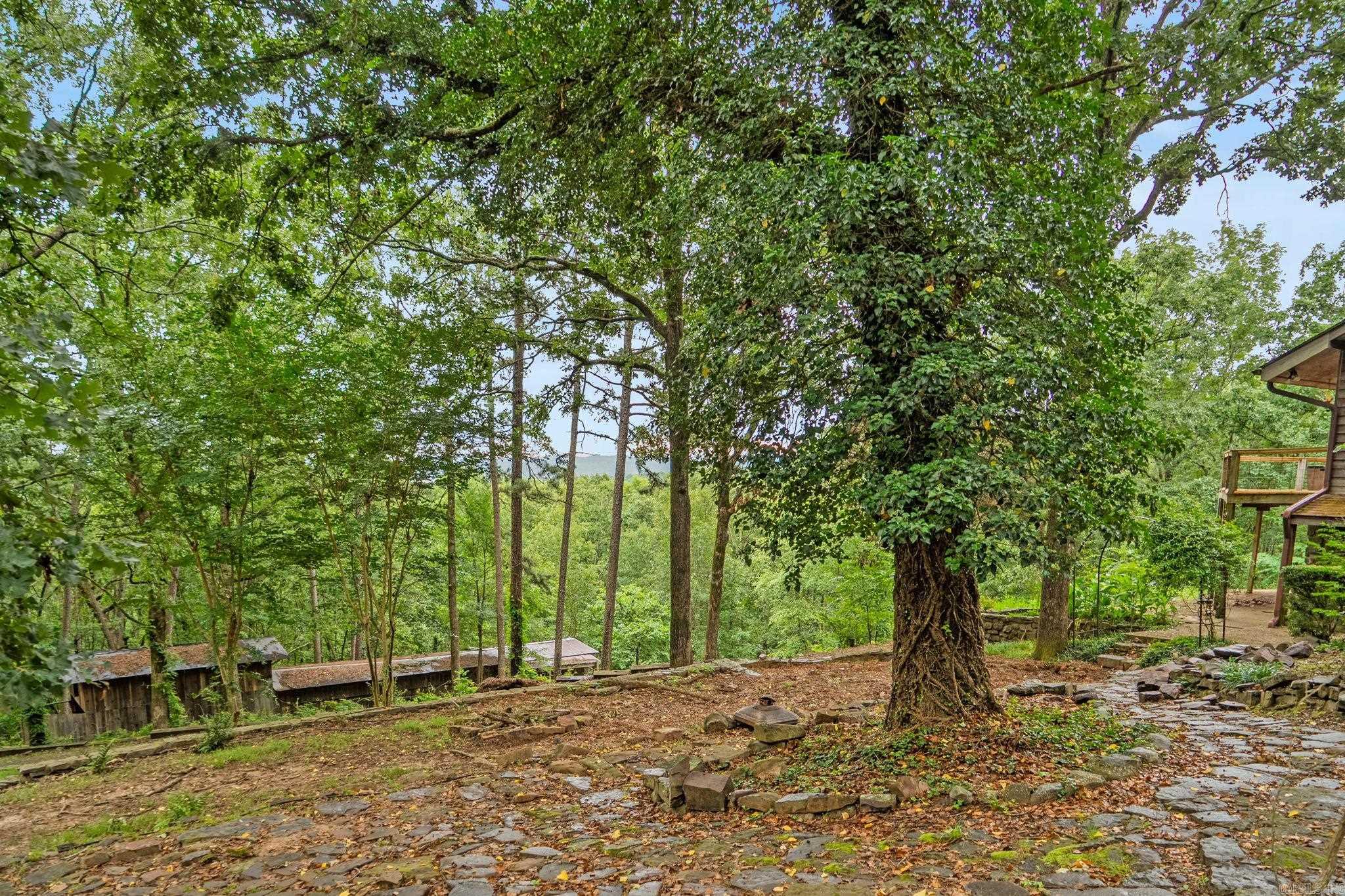 15724 Wilson Lateral Road Property Photo 42