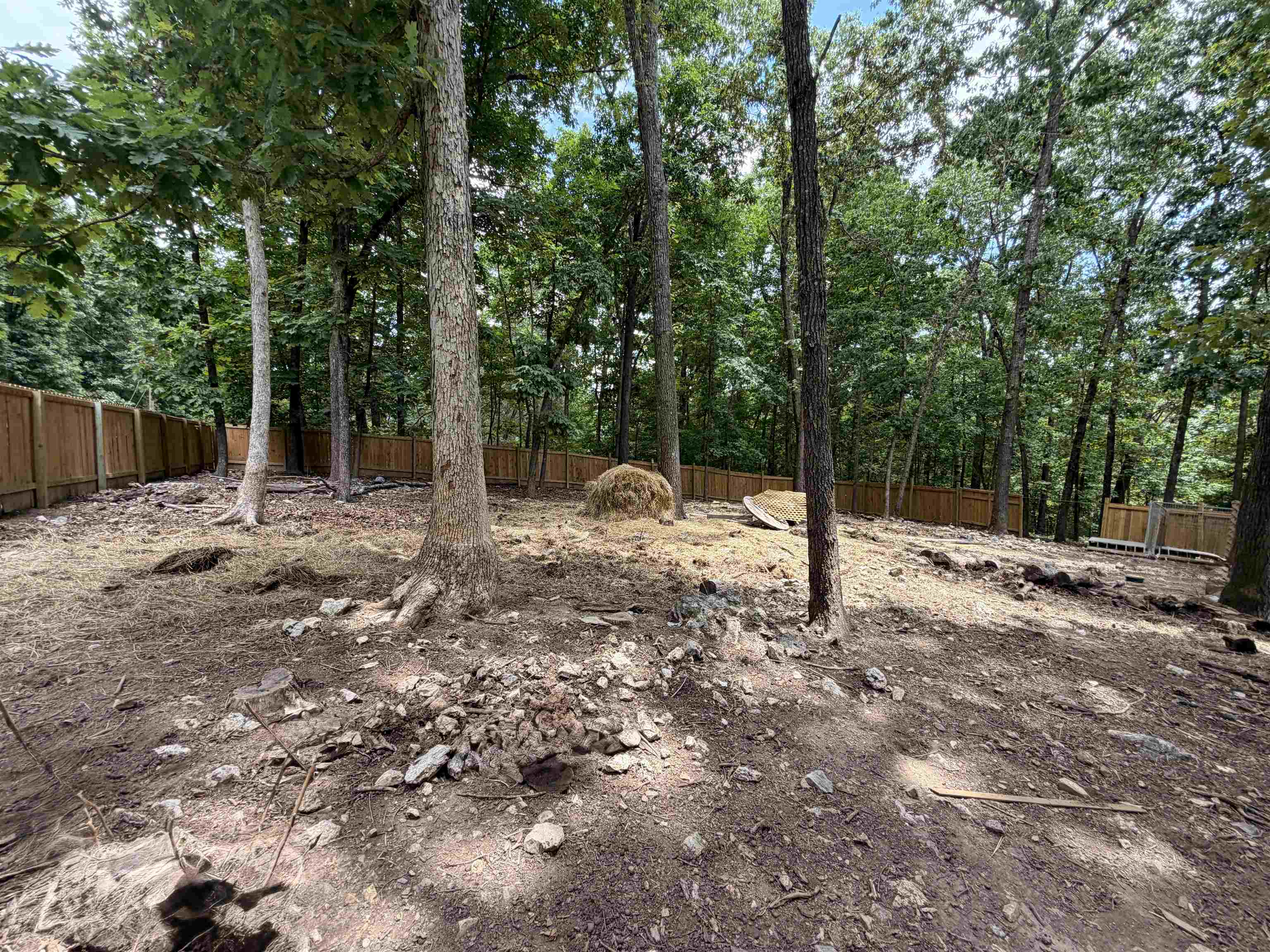 39 Dogwood Trail Property Photo 5