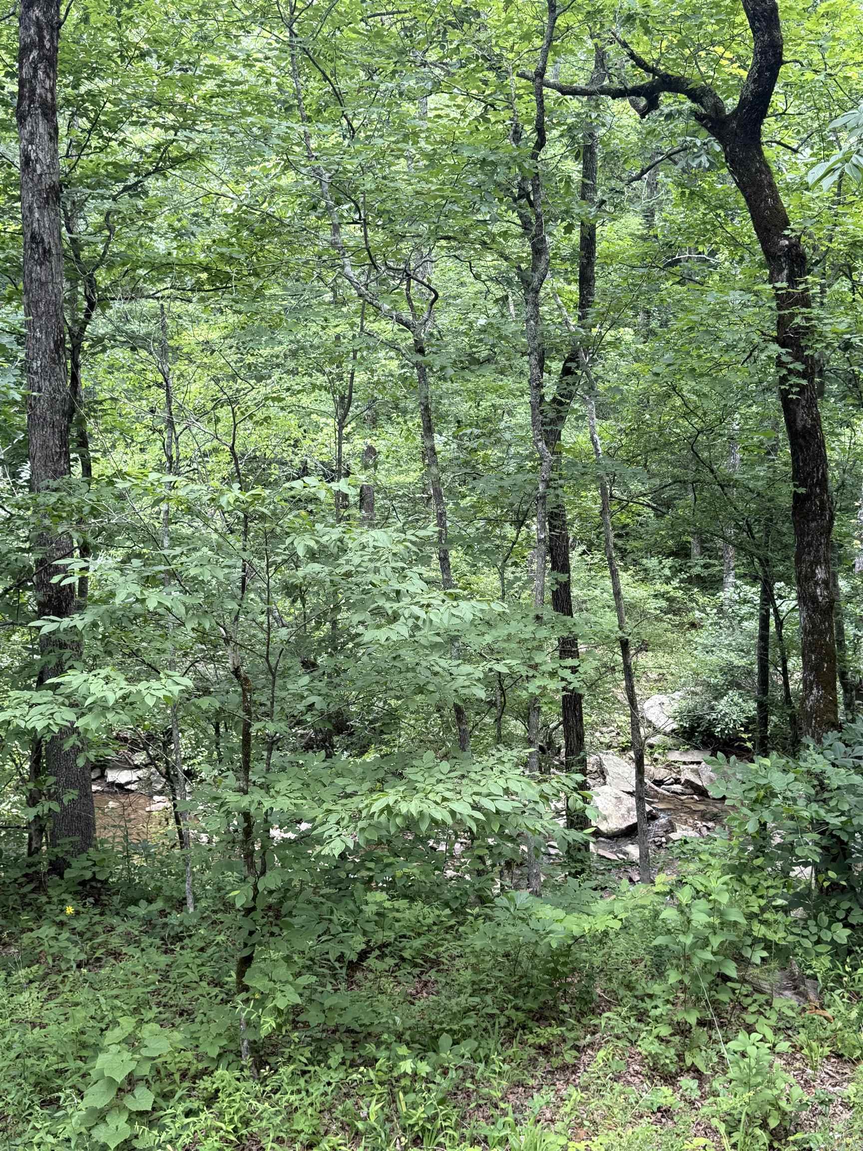 113 Wells Drive Property Photo 2
