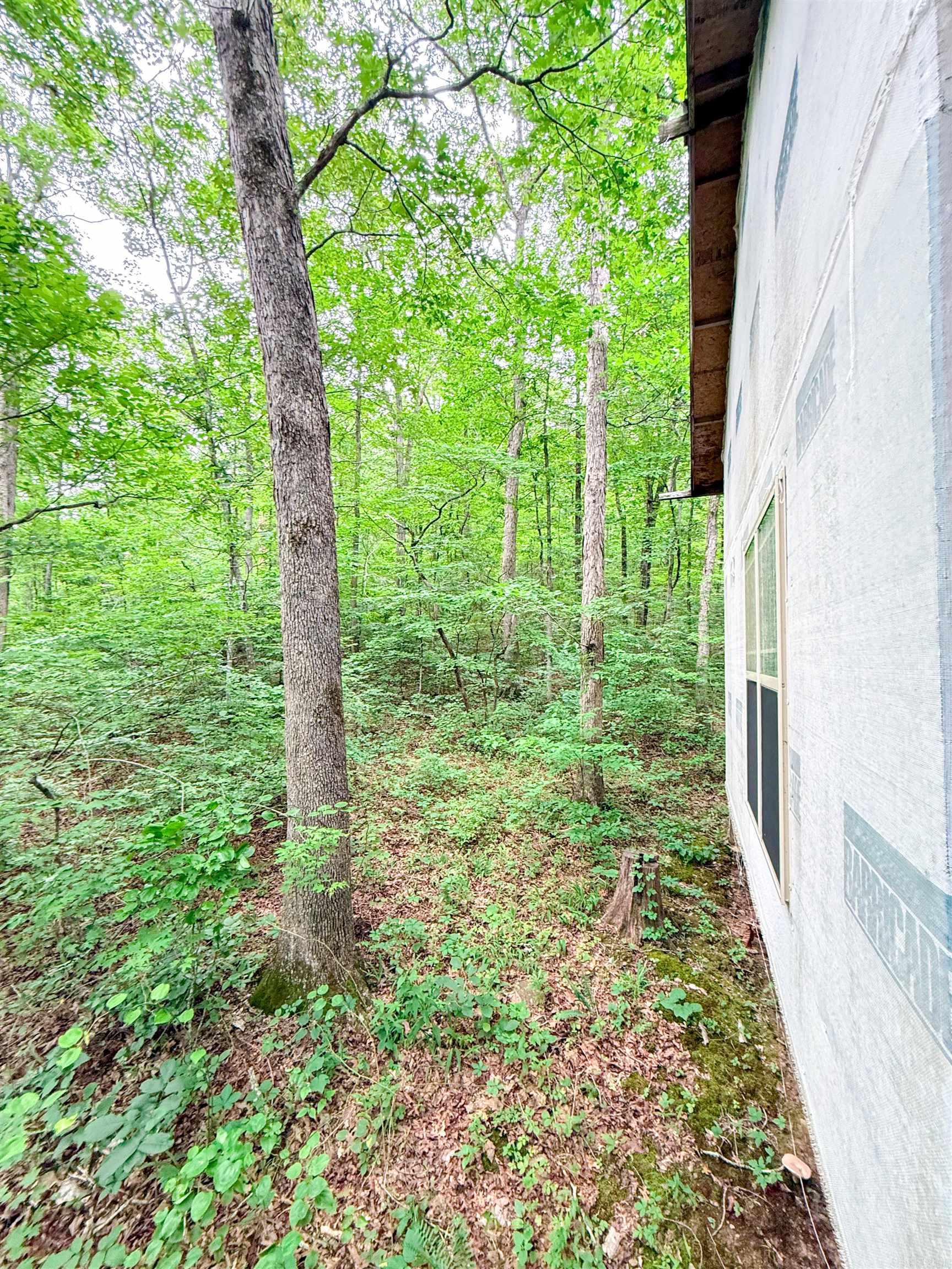 113 Wells Drive Property Photo 16