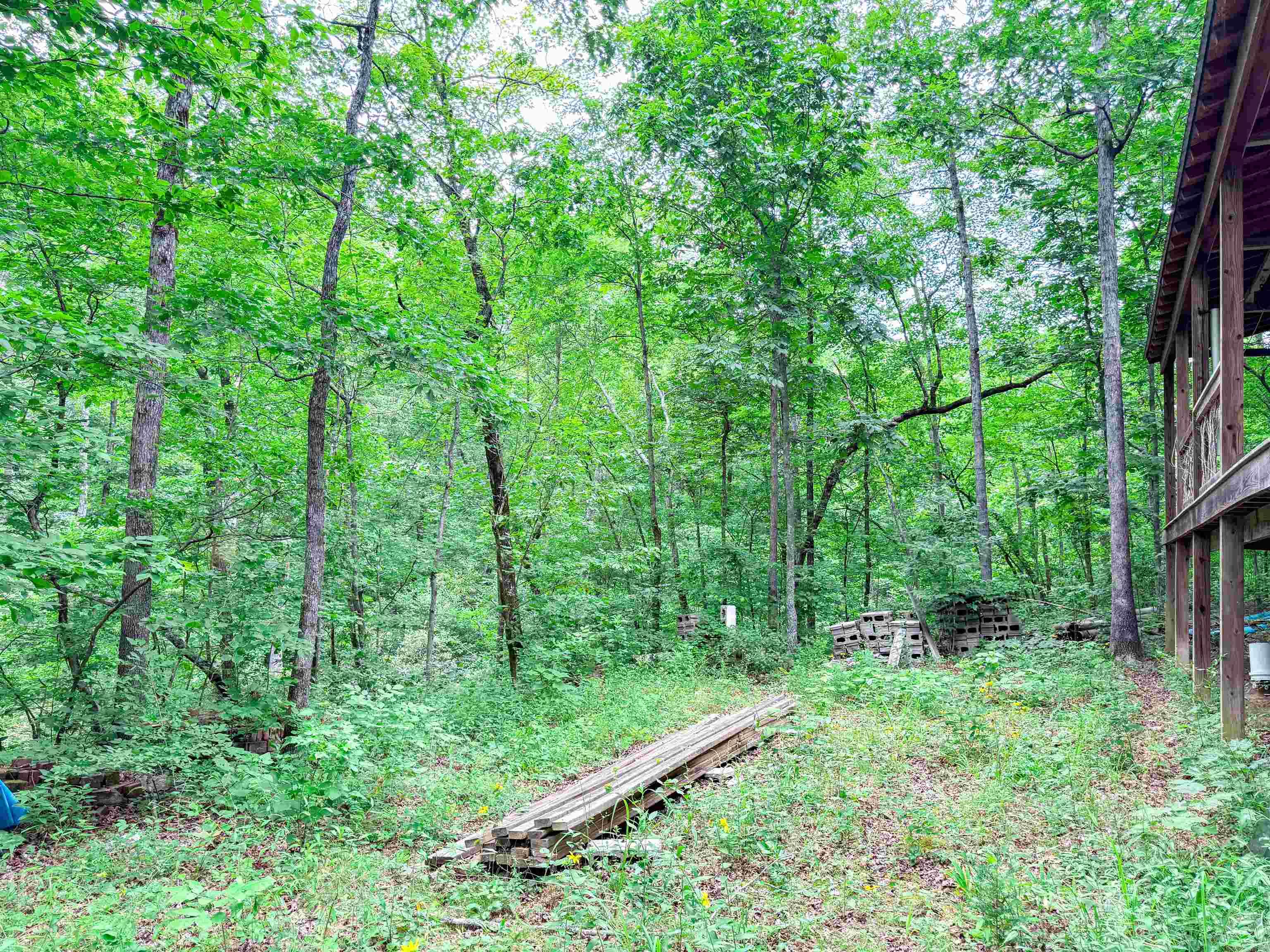 113 Wells Drive Property Photo 19