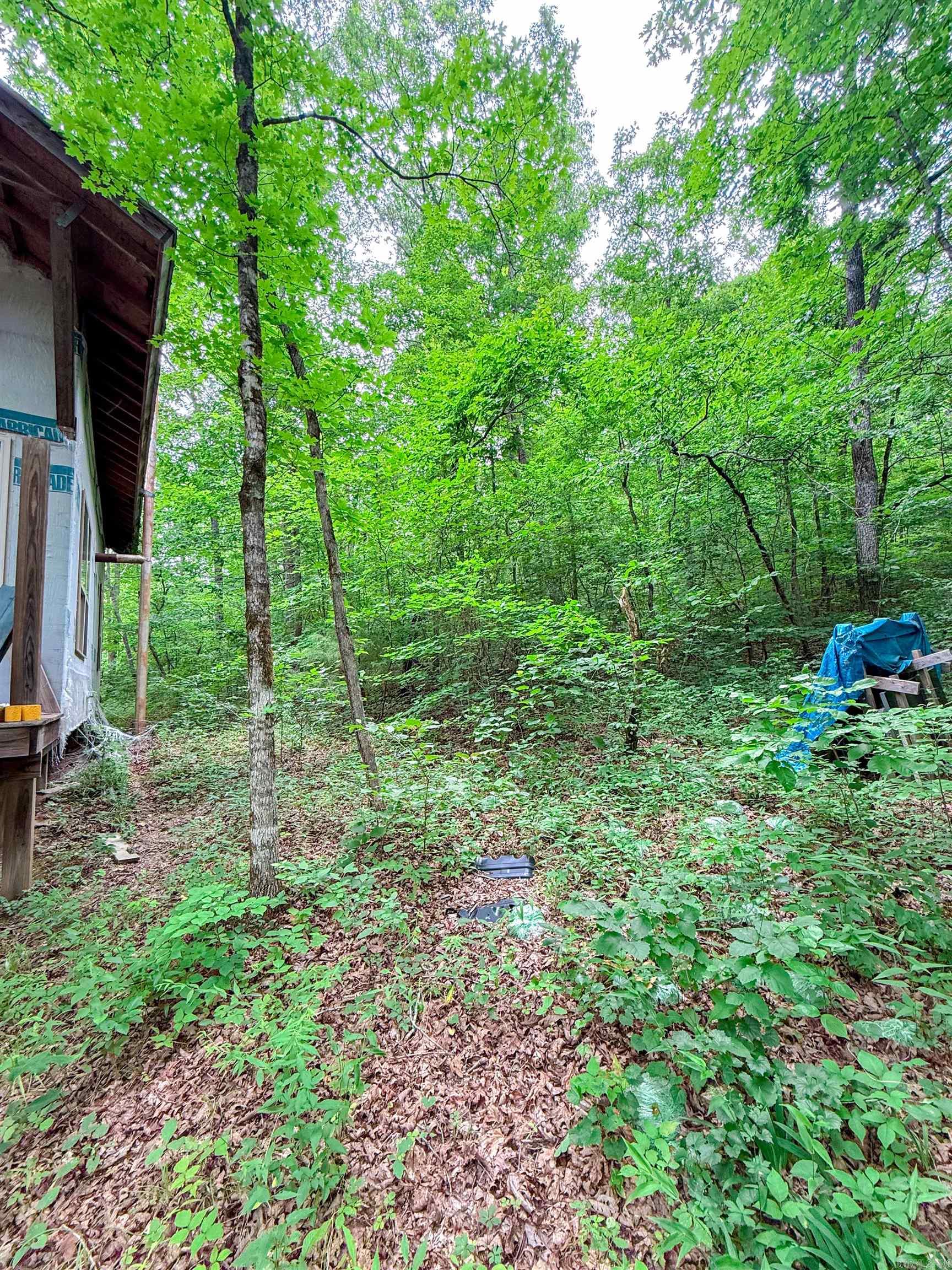 113 Wells Drive Property Photo 20