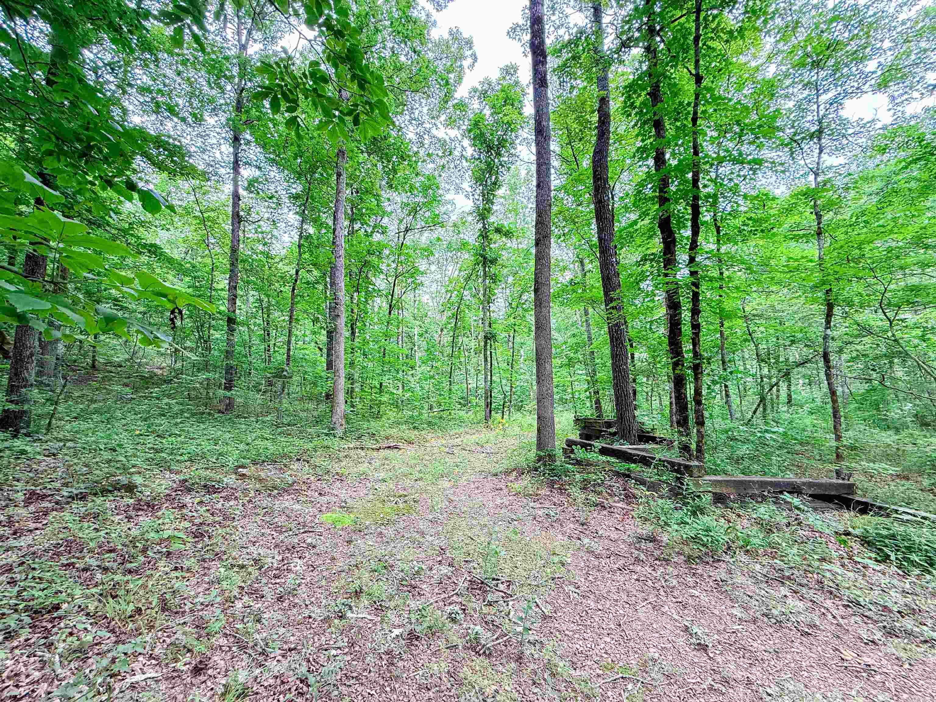 113 Wells Drive Property Photo 21
