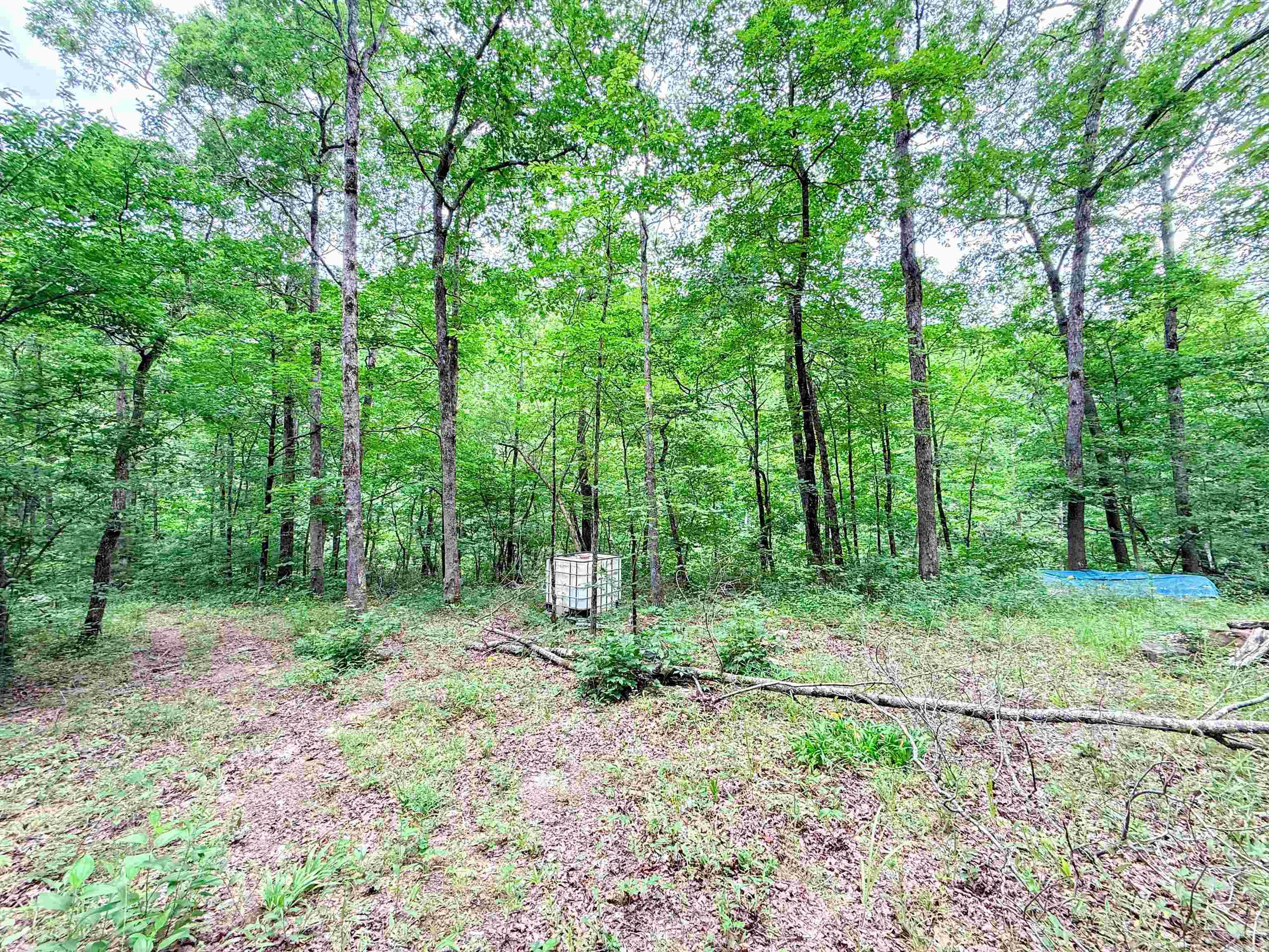 113 Wells Drive Property Photo 22