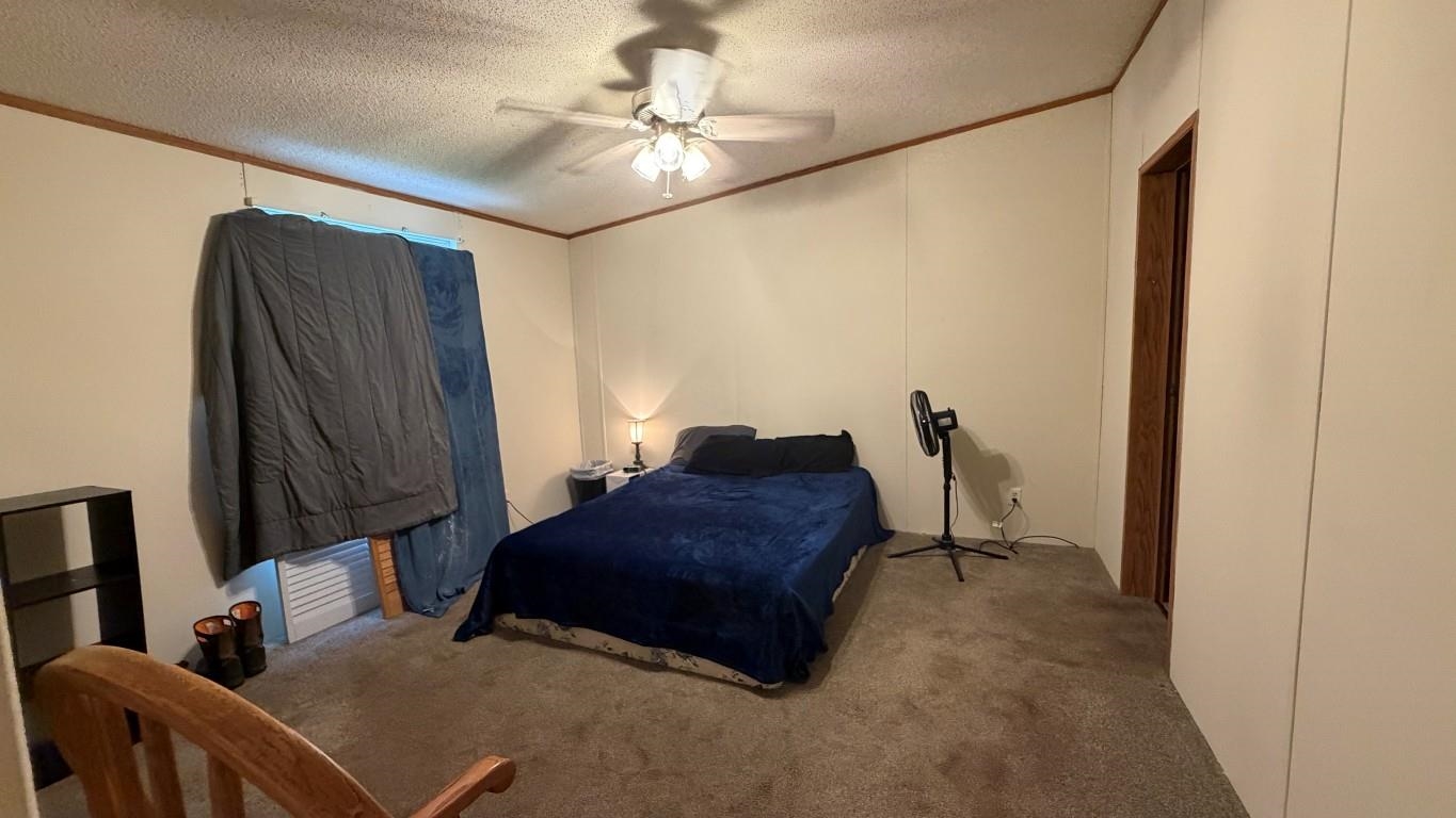 51 Tuff Street Property Photo 6