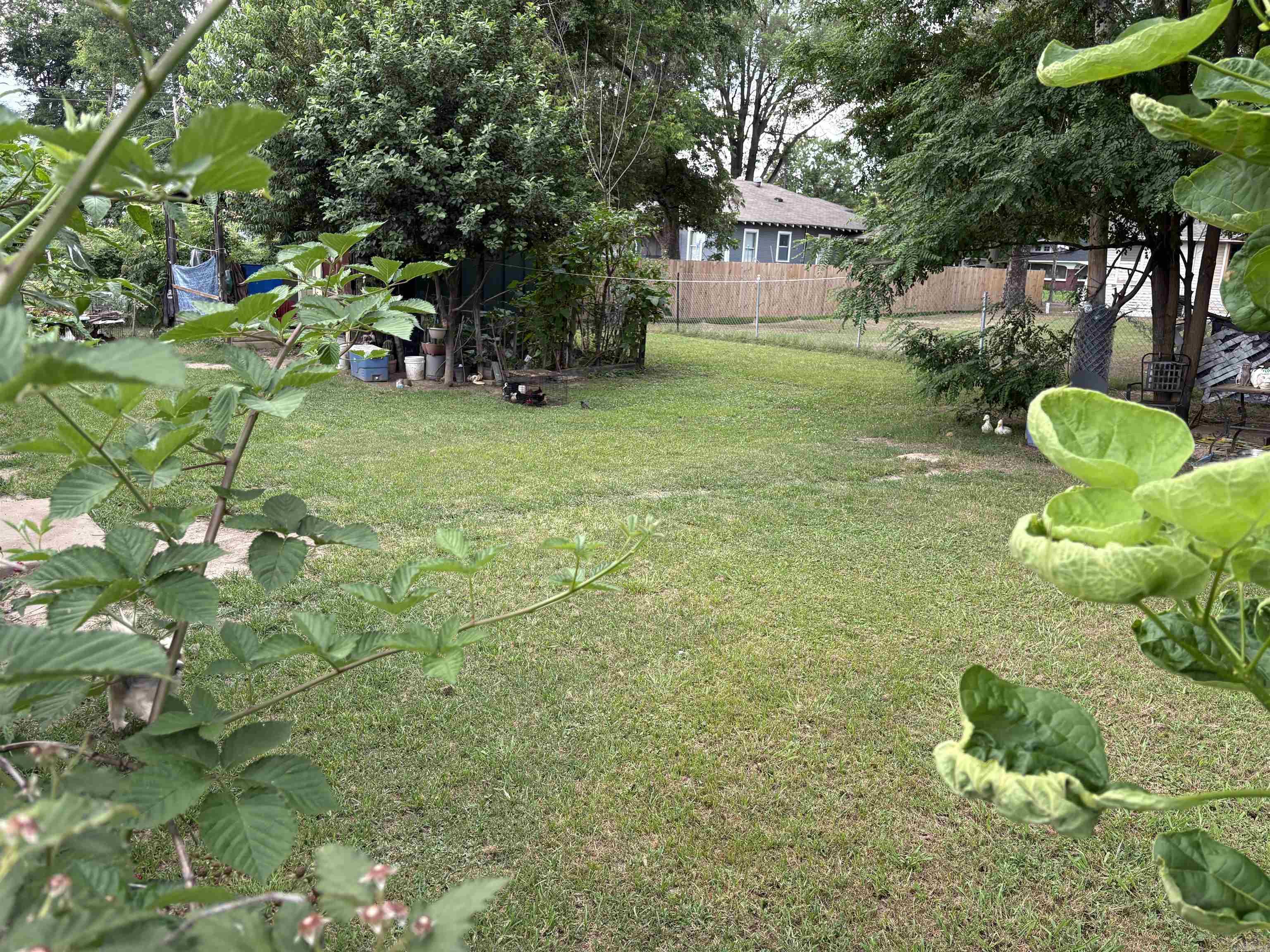 1309 Fourth Property Photo 3