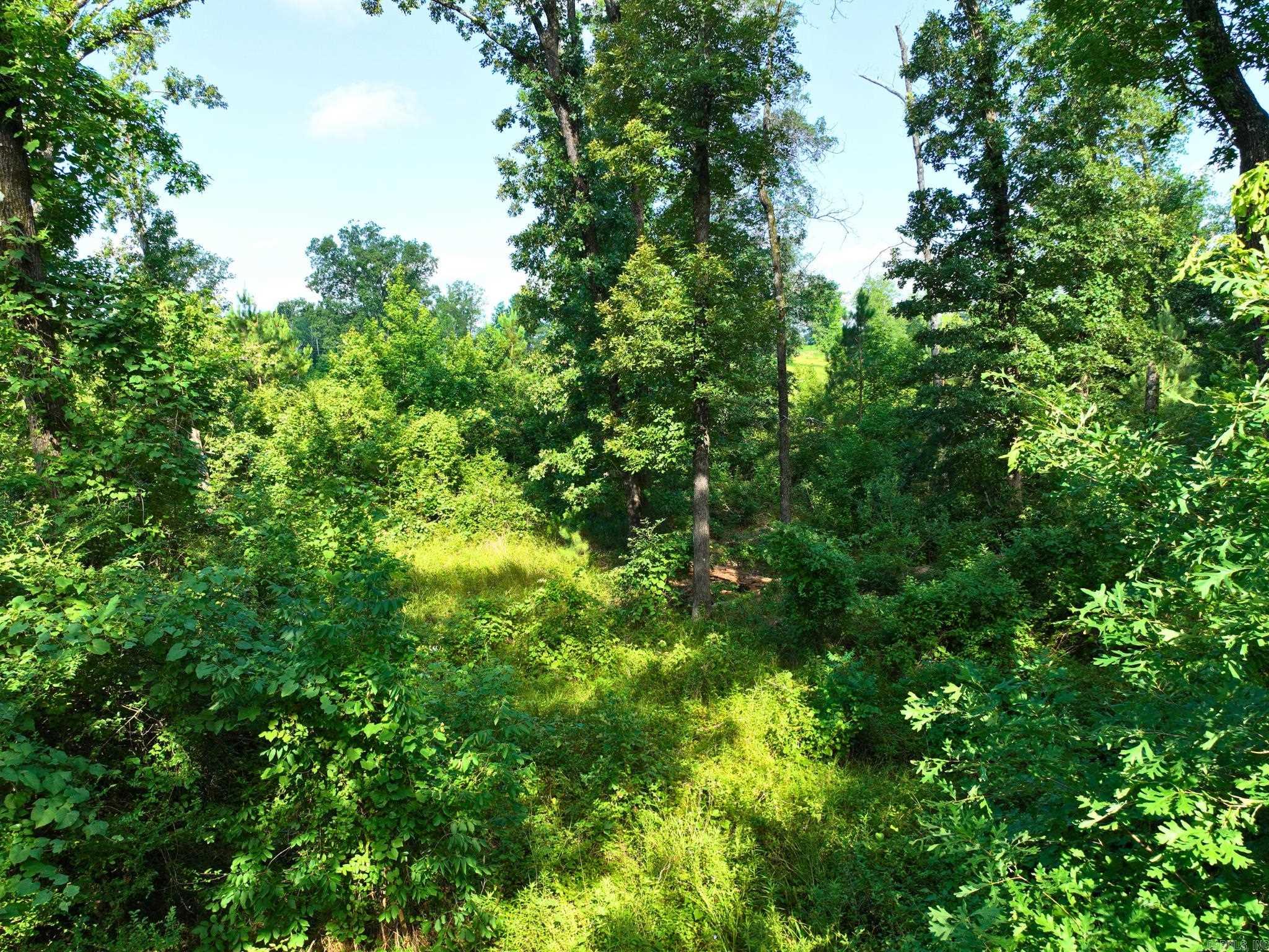 6973 Highway 7 Property Photo 37