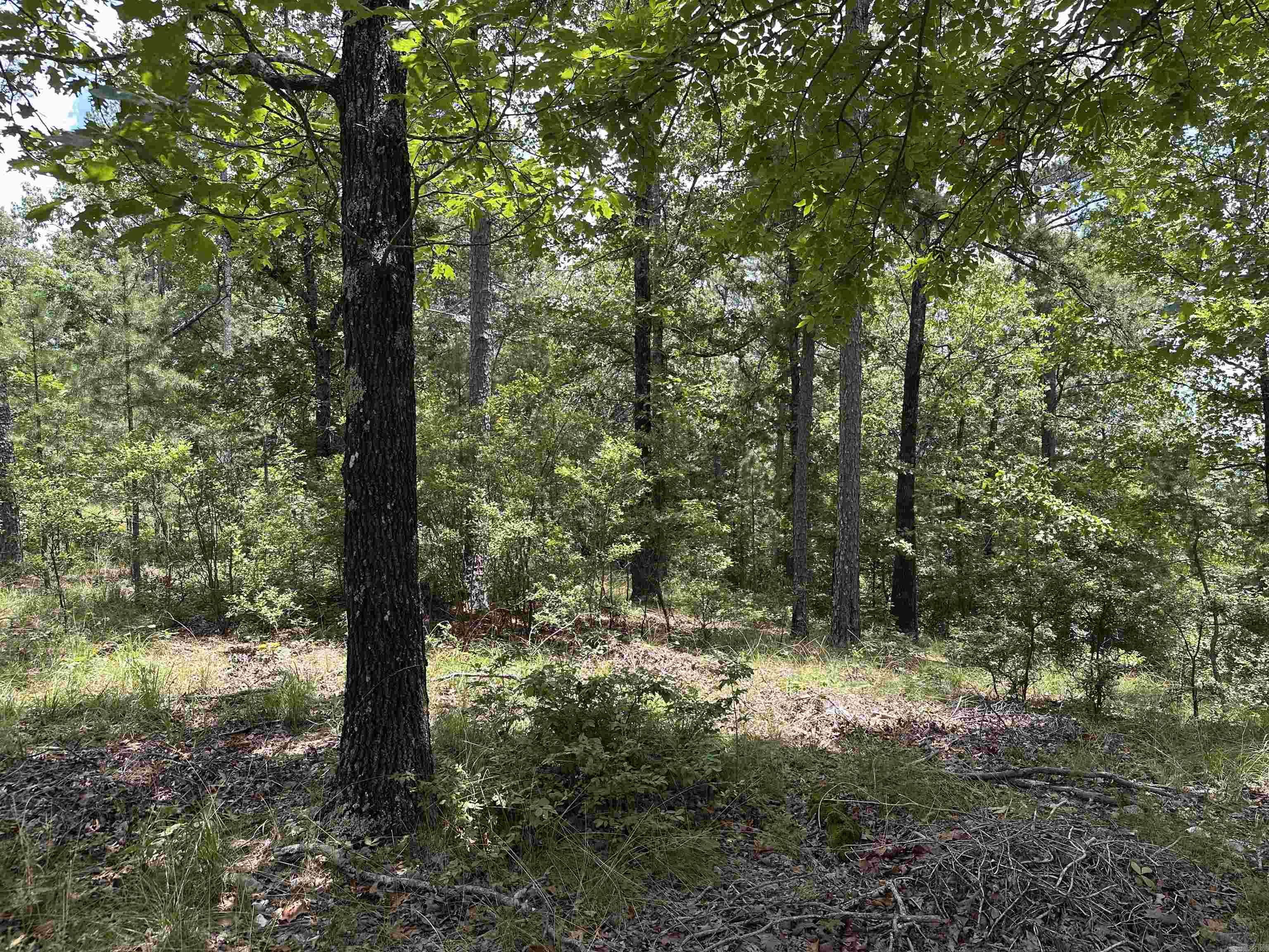 Vista View Pl Property Photo 1