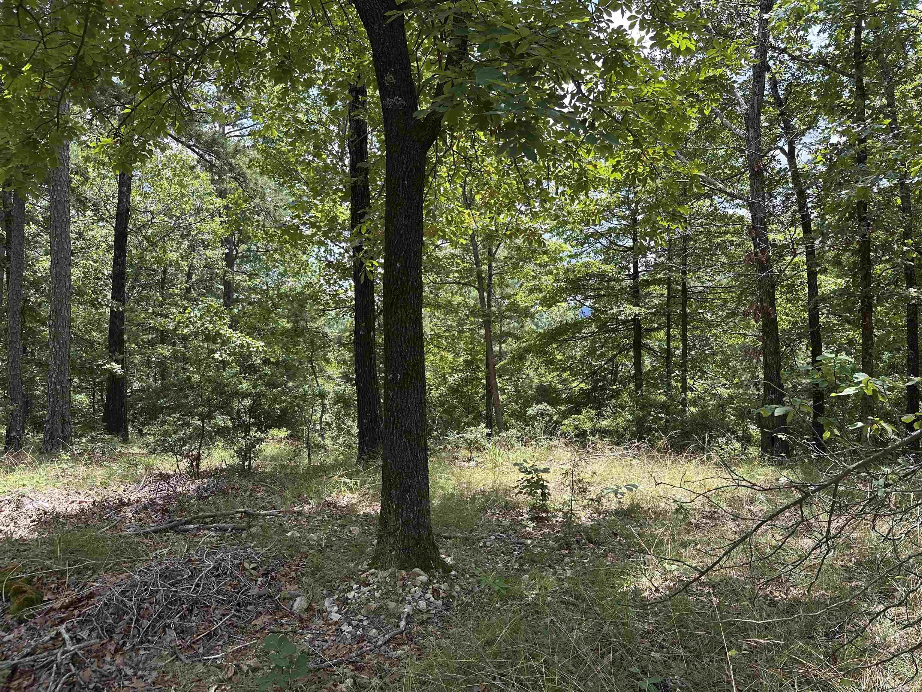 Vista View Pl Property Photo 5