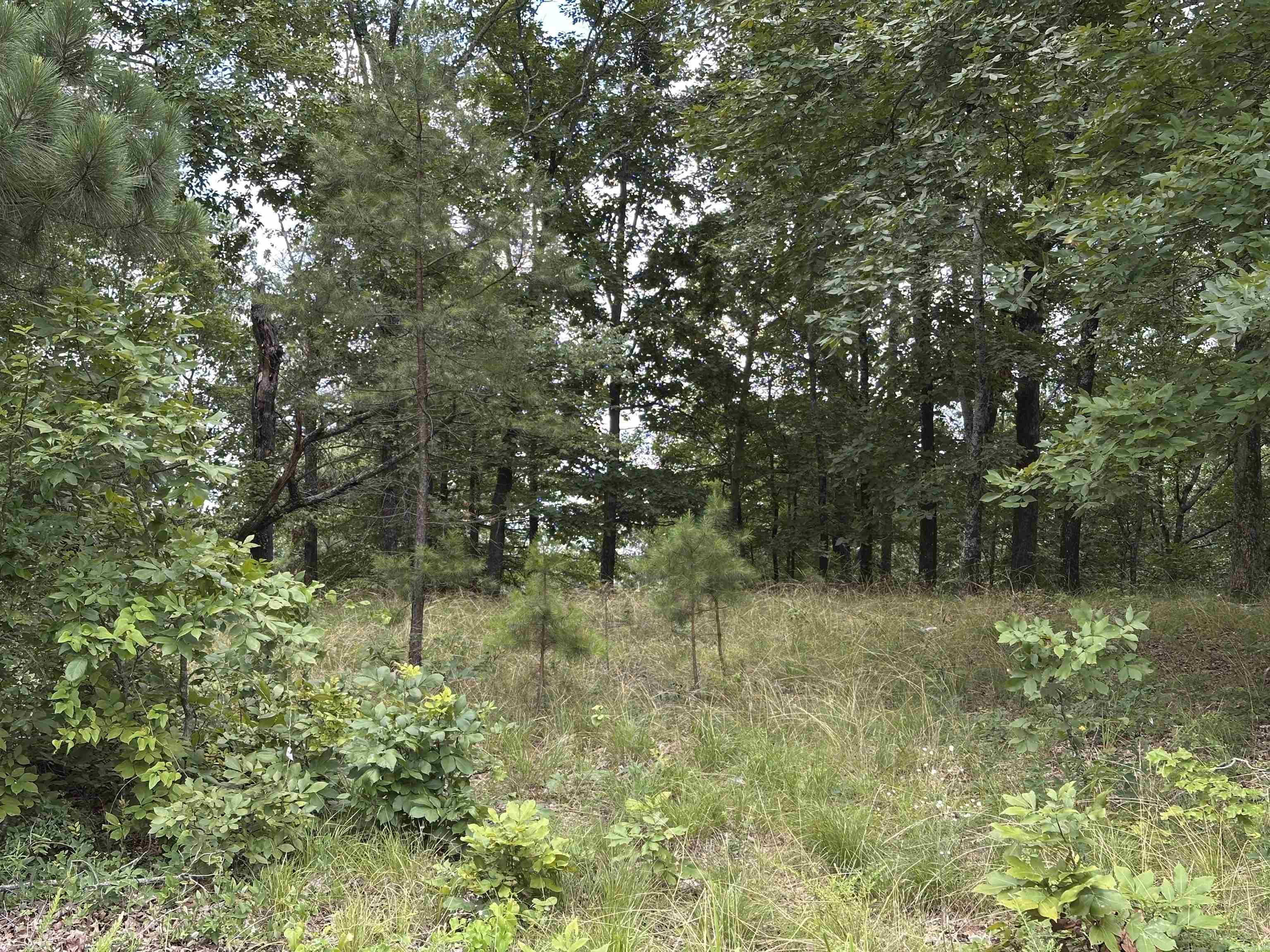 Vista View Pl Property Photo 8