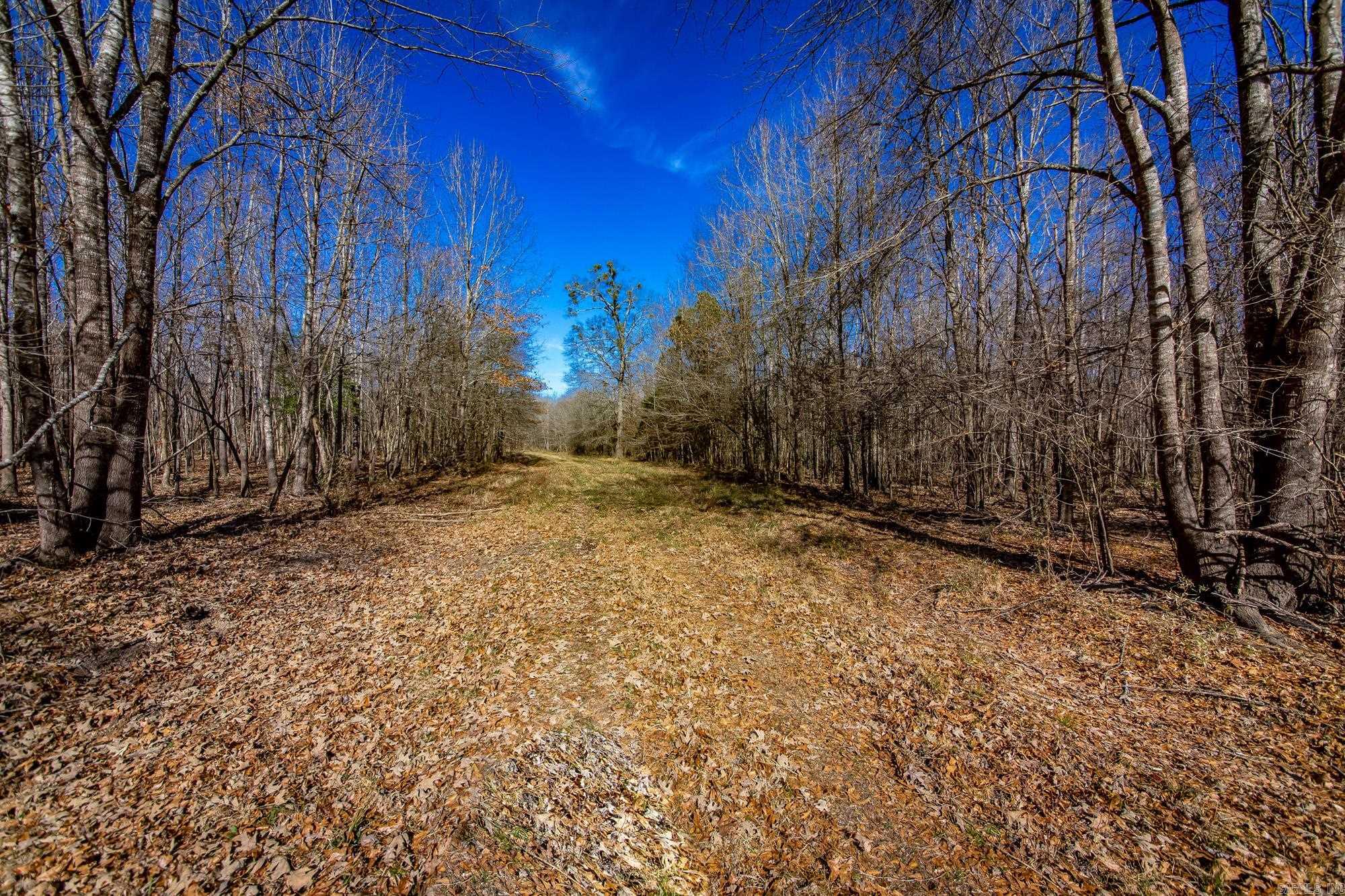 Little Missosur River Property Photo 6