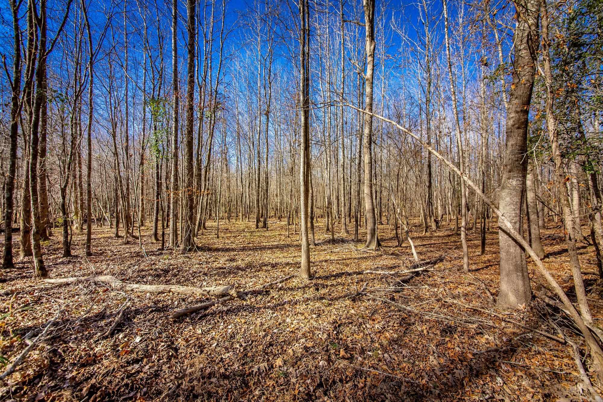 Little Missosur River Property Photo 17