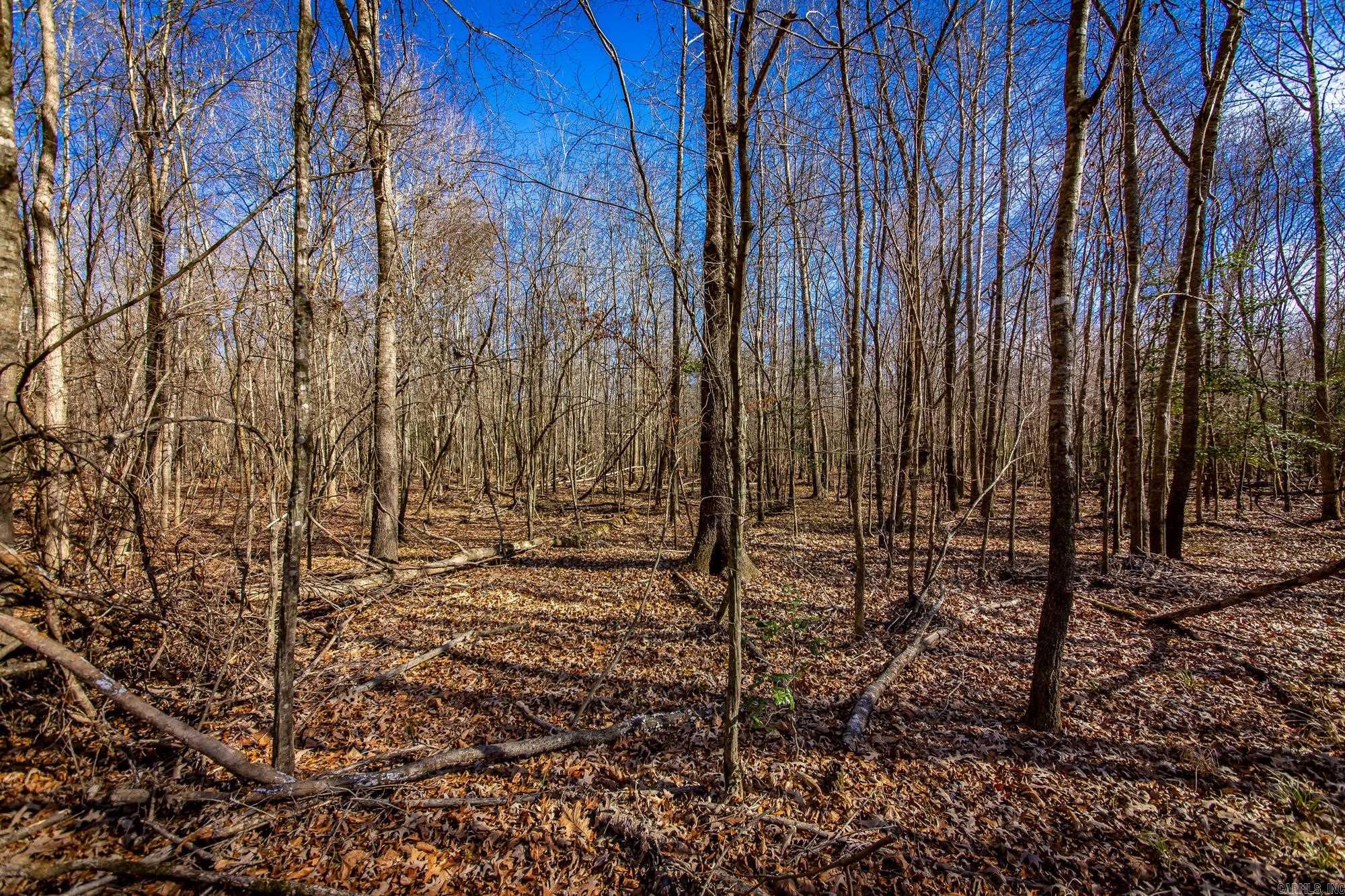 Little Missosur River Property Photo 25