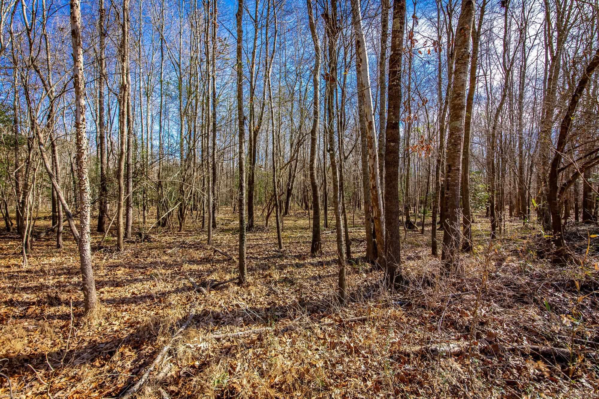 Little Missosur River Property Photo 29