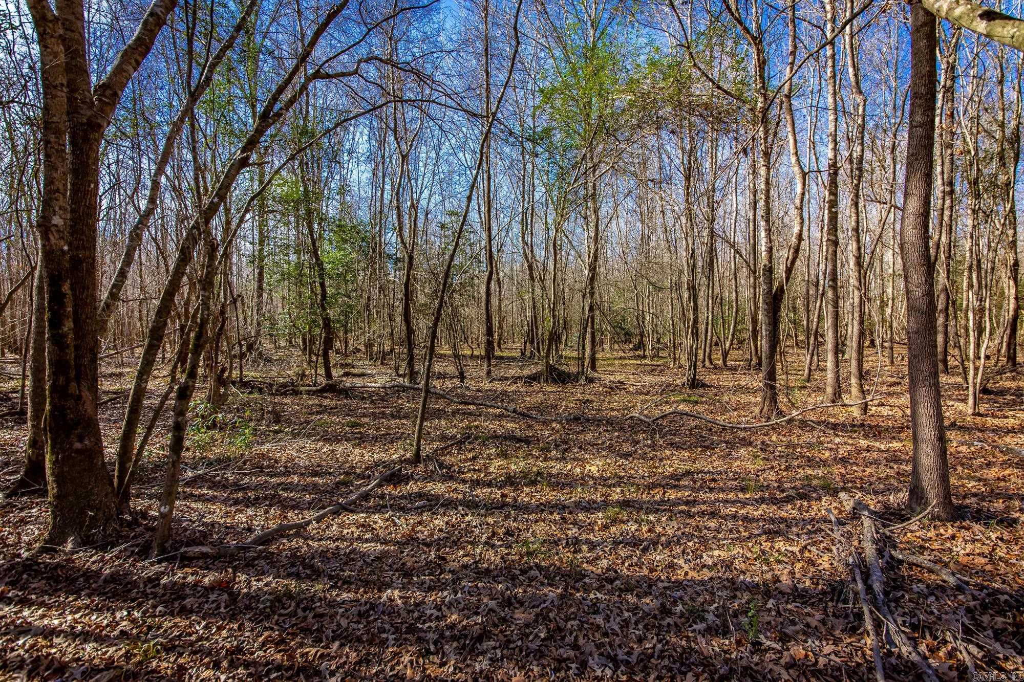 Little Missosur River Property Photo 30