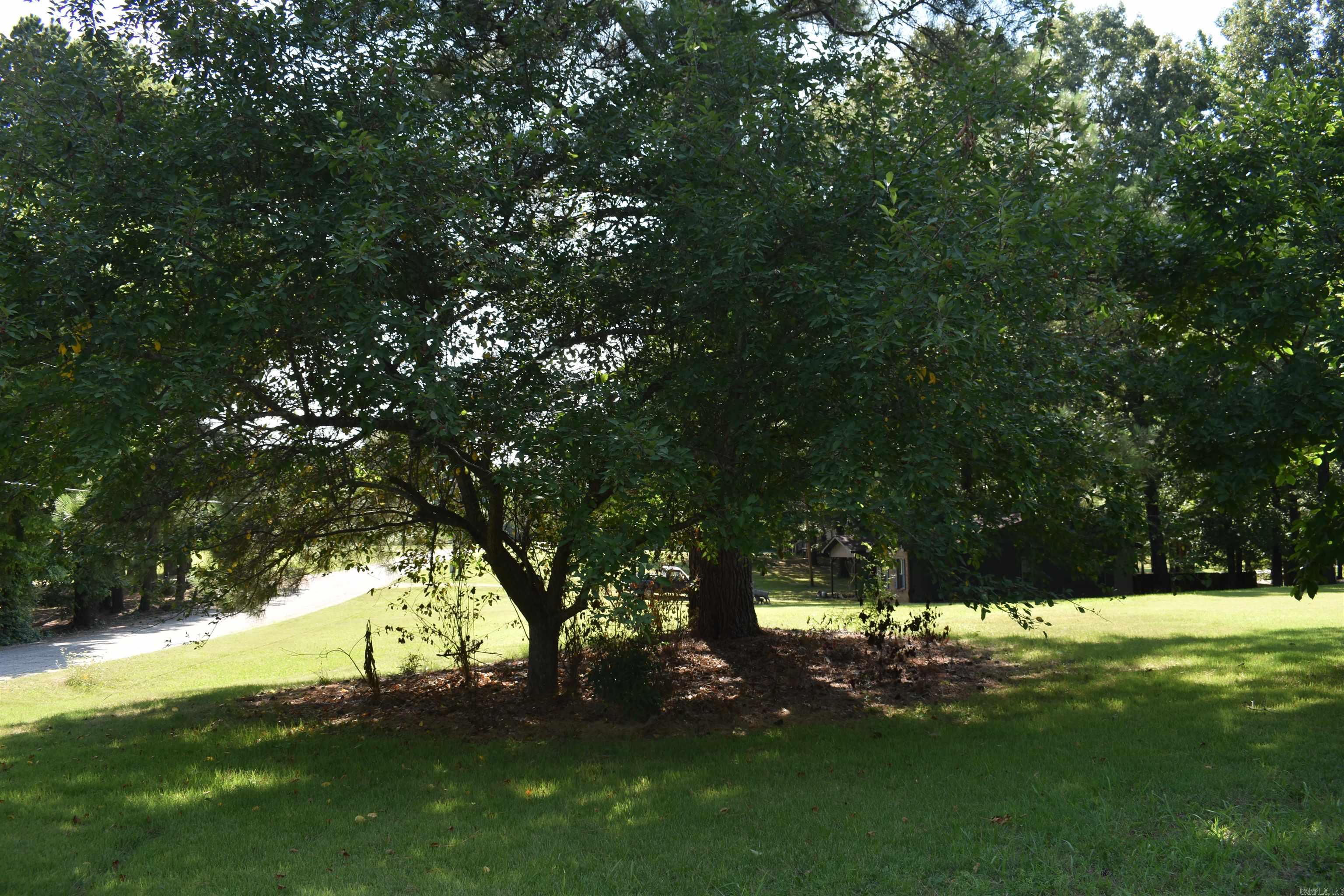 292 County Road 320 Property Photo 19