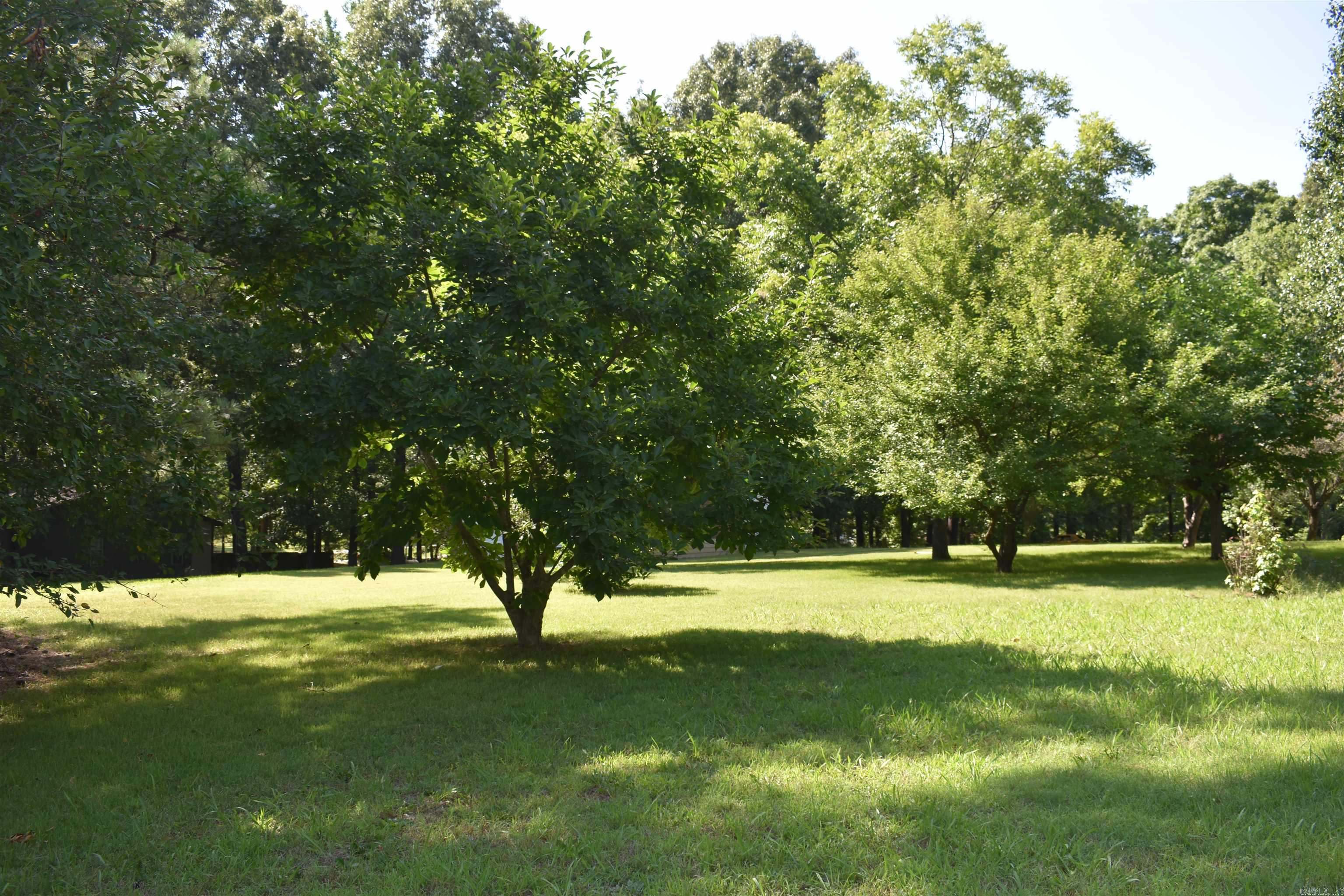 292 County Road 320 Property Photo 20
