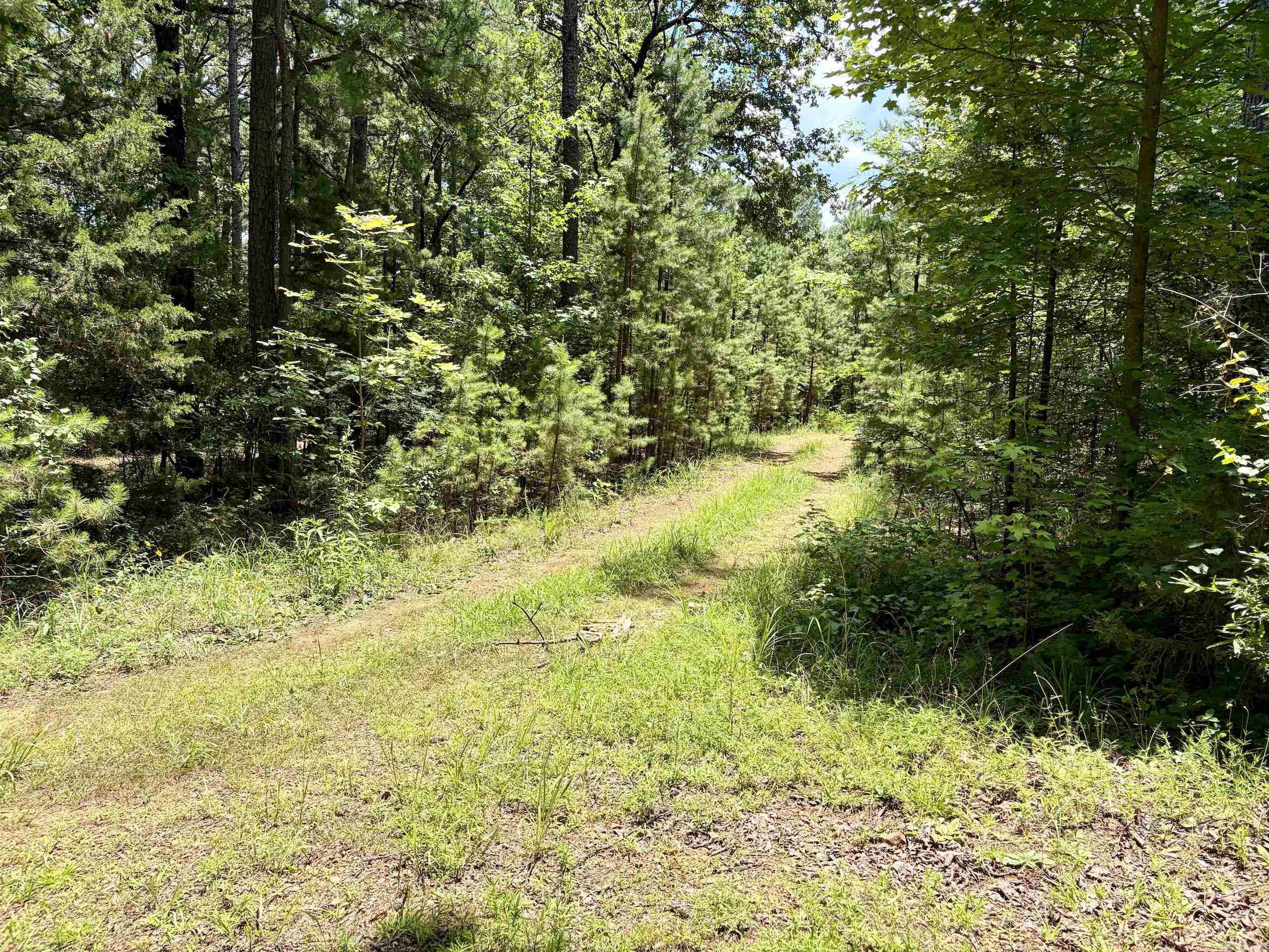 000 Fs Road 1678 Property Photo 7