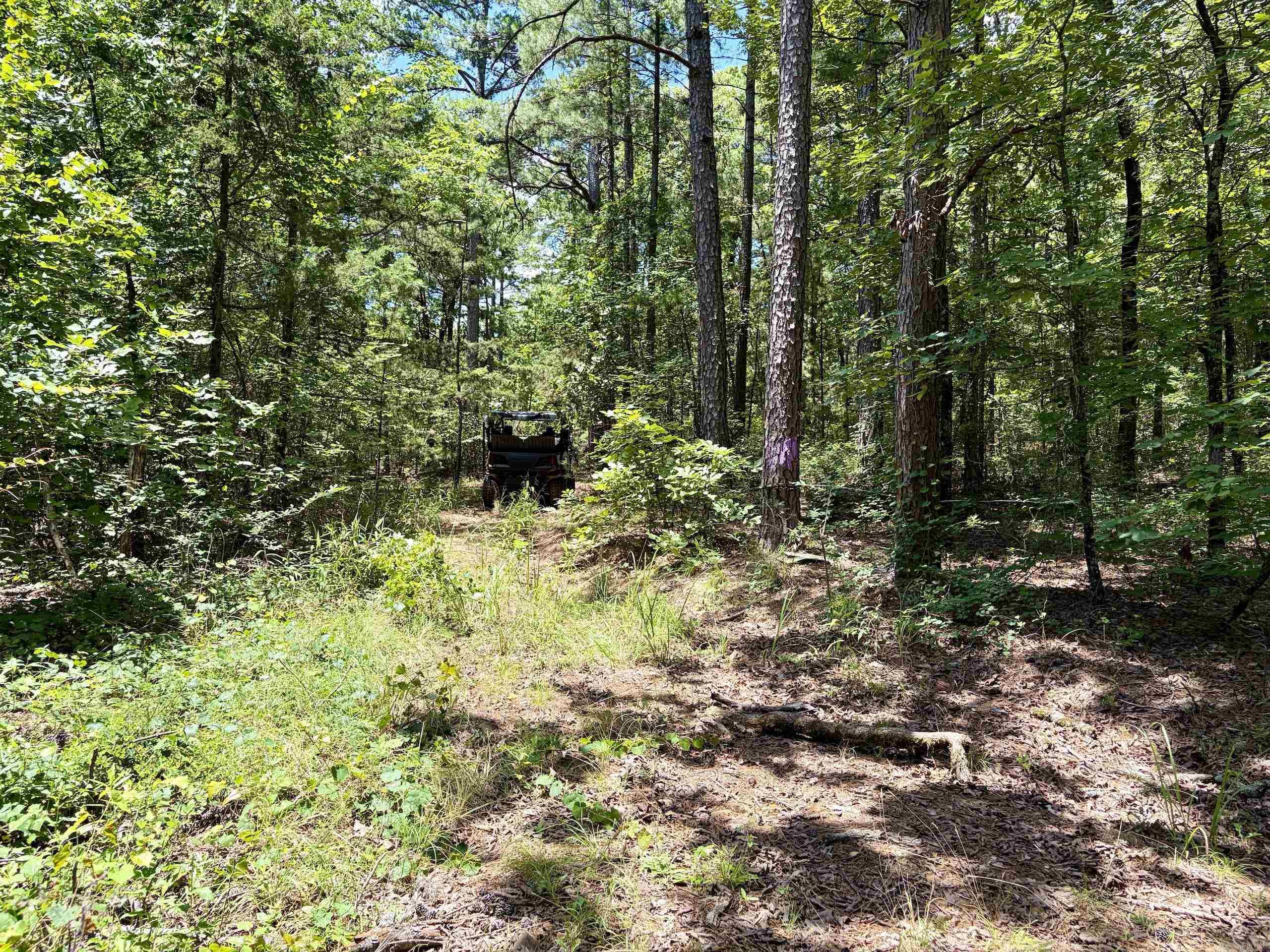 000 Fs Road 1678 Property Photo 9
