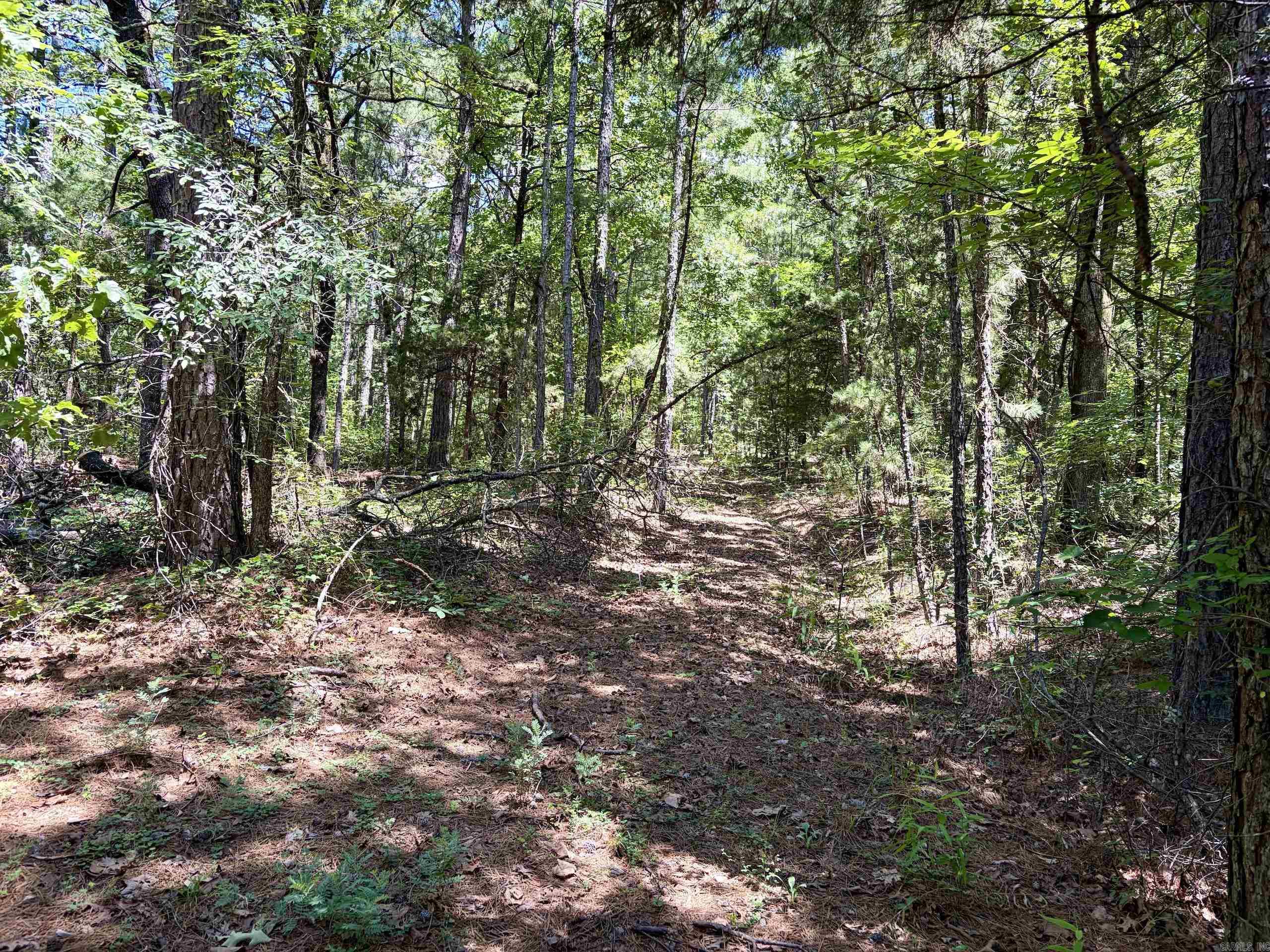 000 Fs Road 1678 Property Photo 13