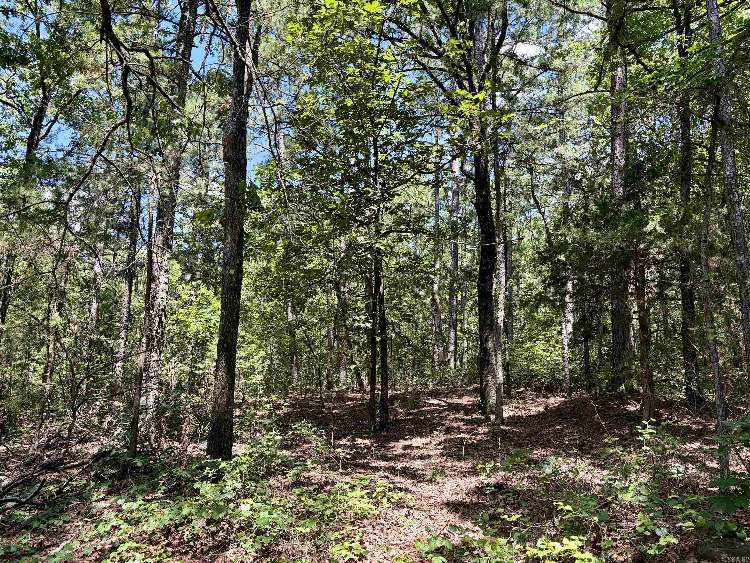 000 Fs Road 1678 Property Photo 14