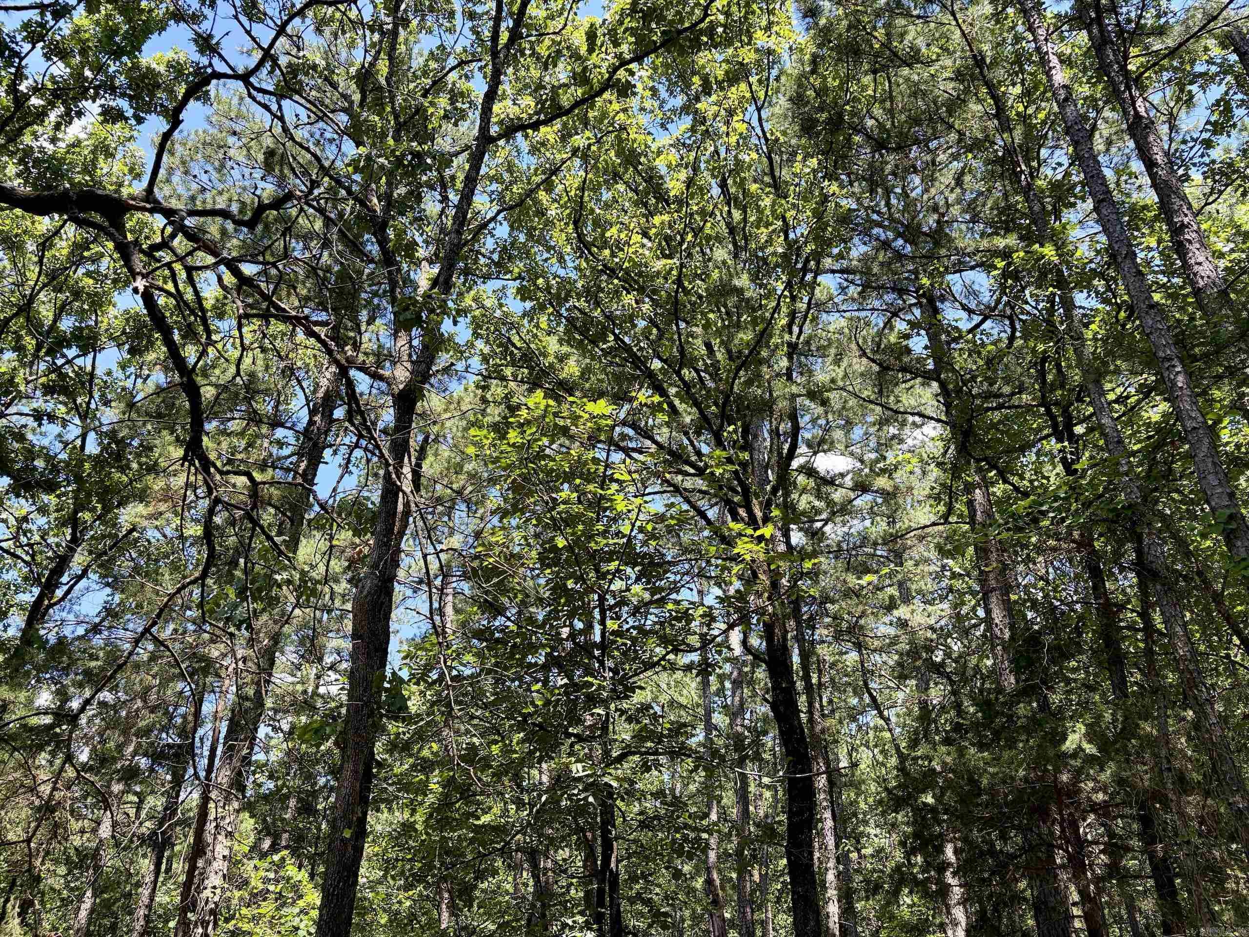 000 Fs Road 1678 Property Photo 15