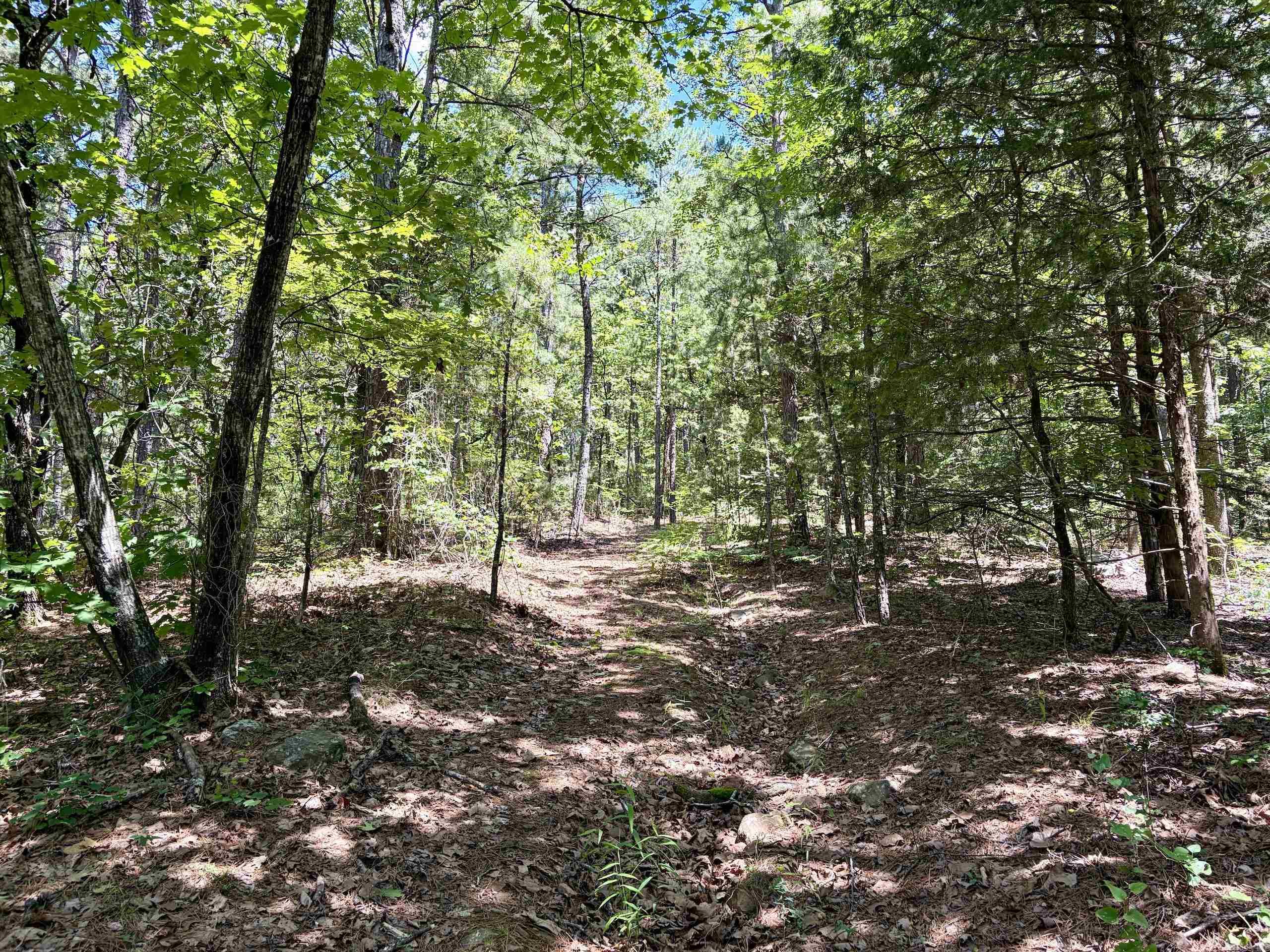 000 Fs Road 1678 Property Photo 16