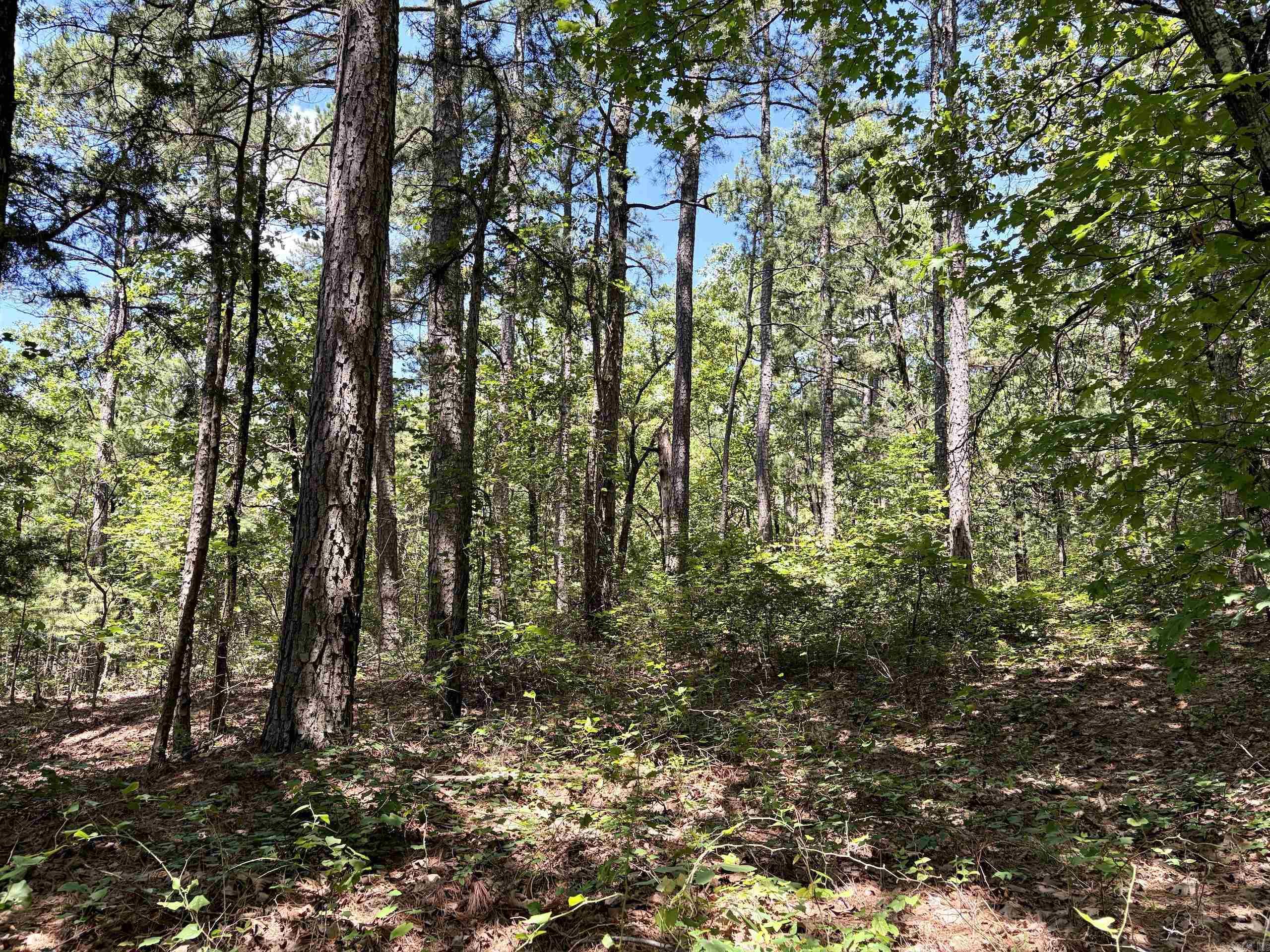 000 Fs Road 1678 Property Photo 17