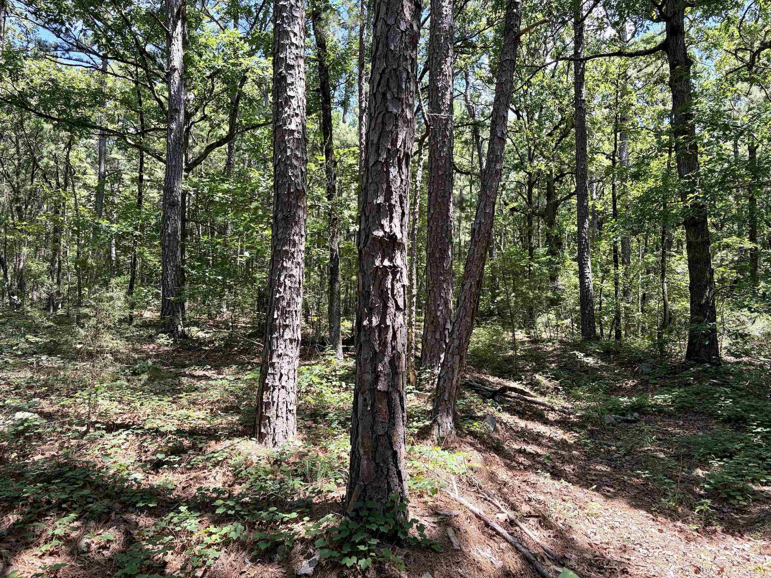 000 Fs Road 1678 Property Photo 19