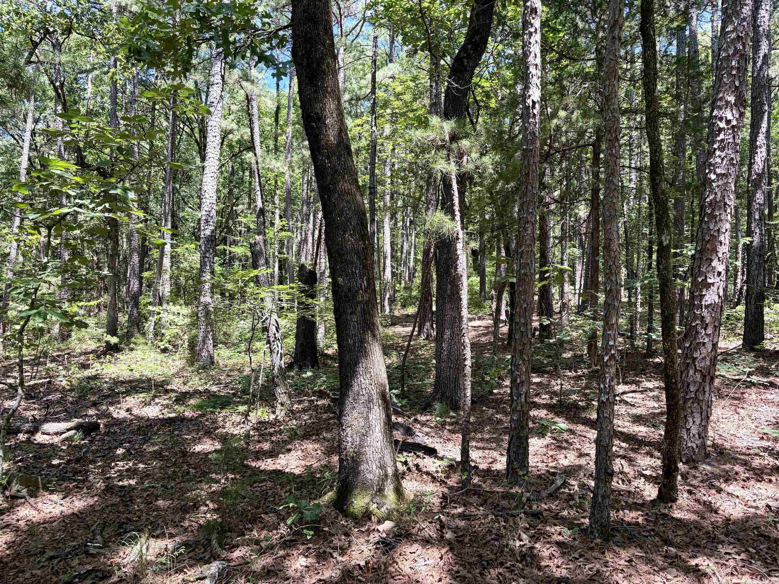 000 Fs Road 1678 Property Photo 20