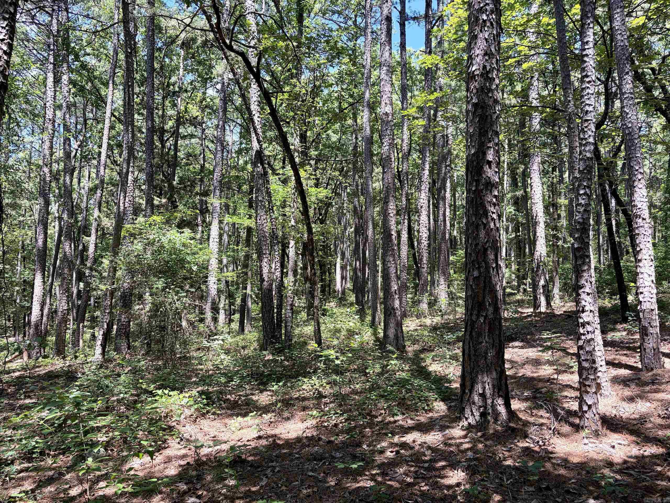 000 Fs Road 1678 Property Photo 22