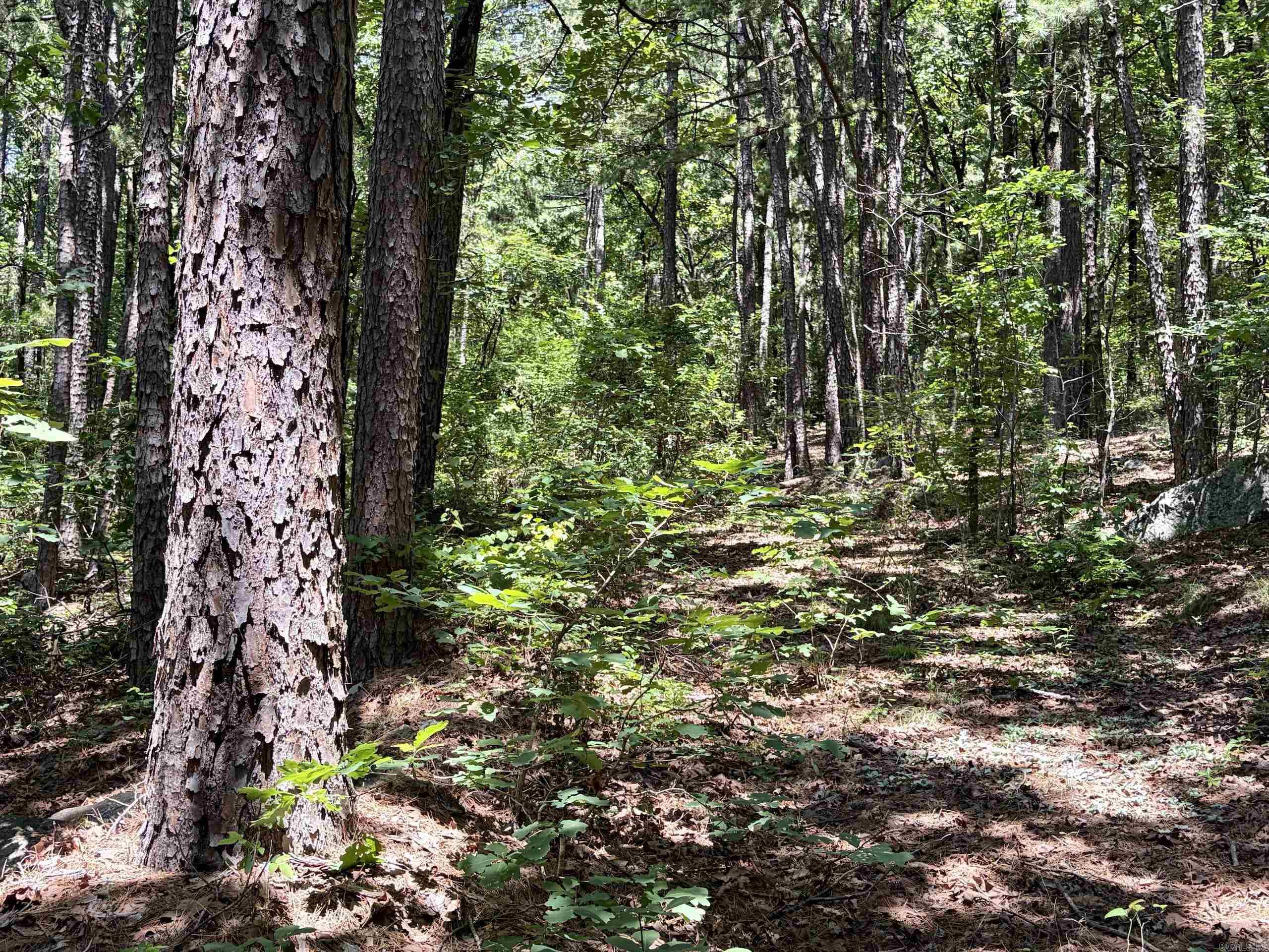 000 Fs Road 1678 Property Photo 23