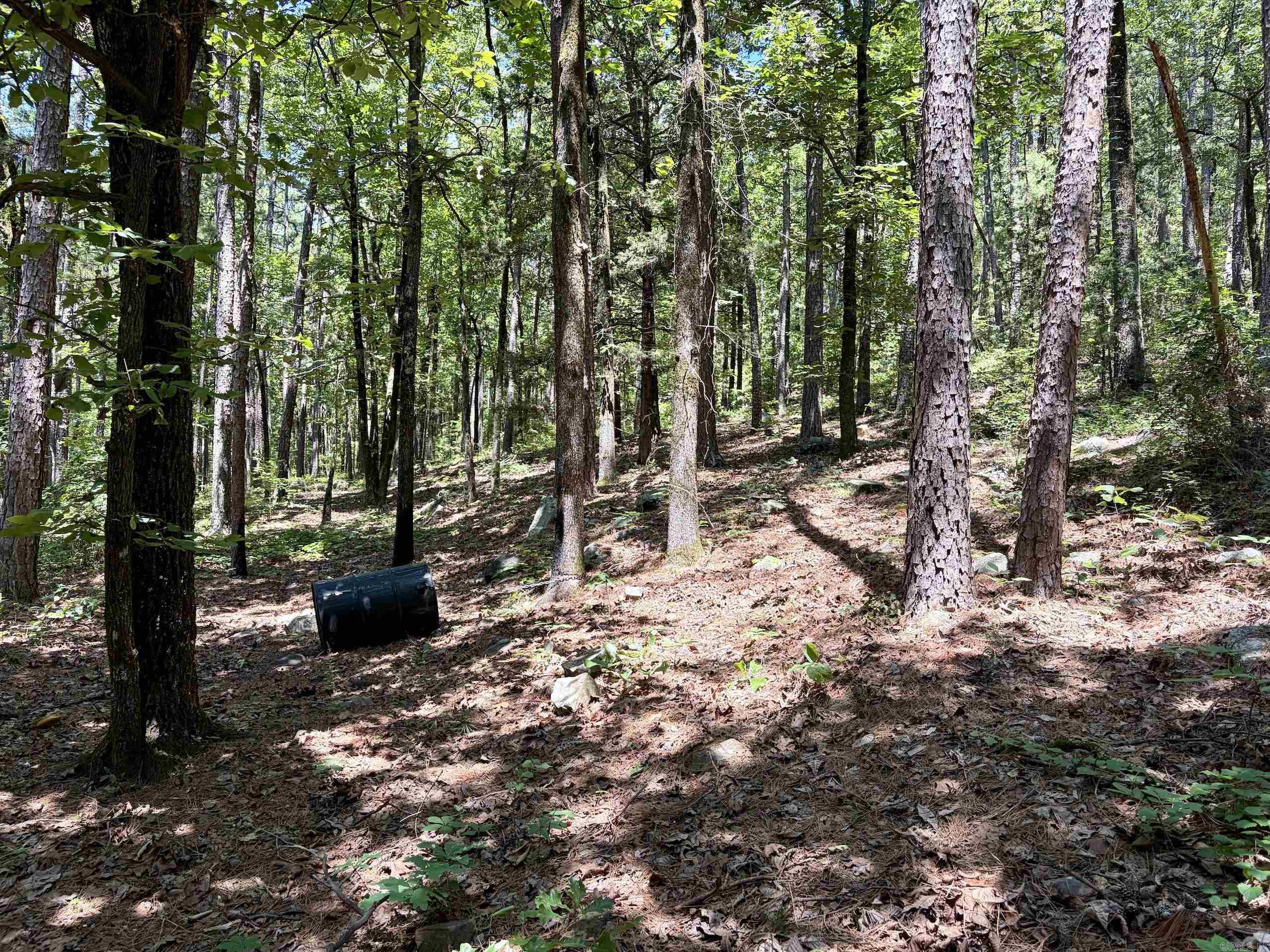 000 Fs Road 1678 Property Photo 25
