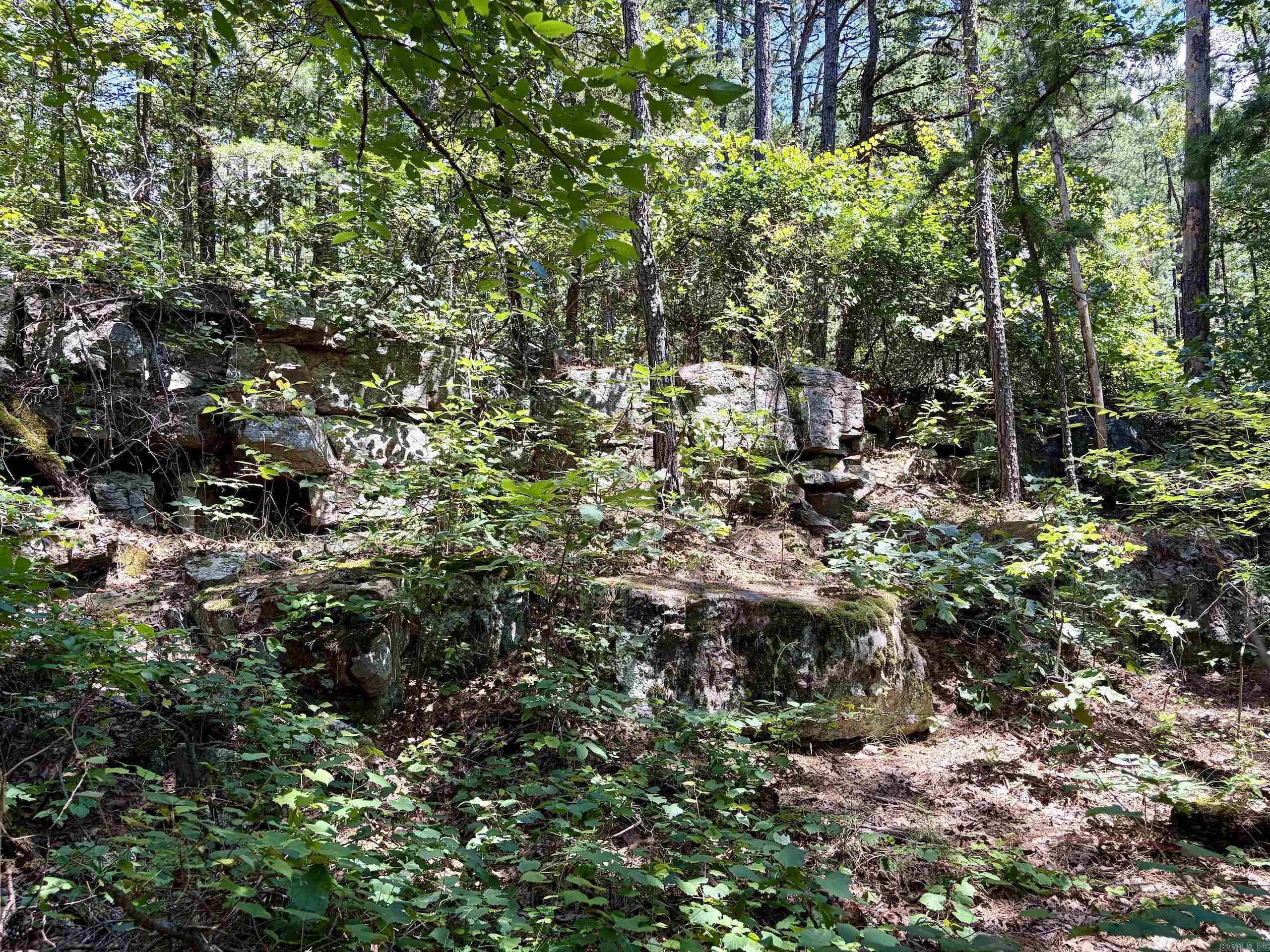 000 Fs Road 1678 Property Photo 27