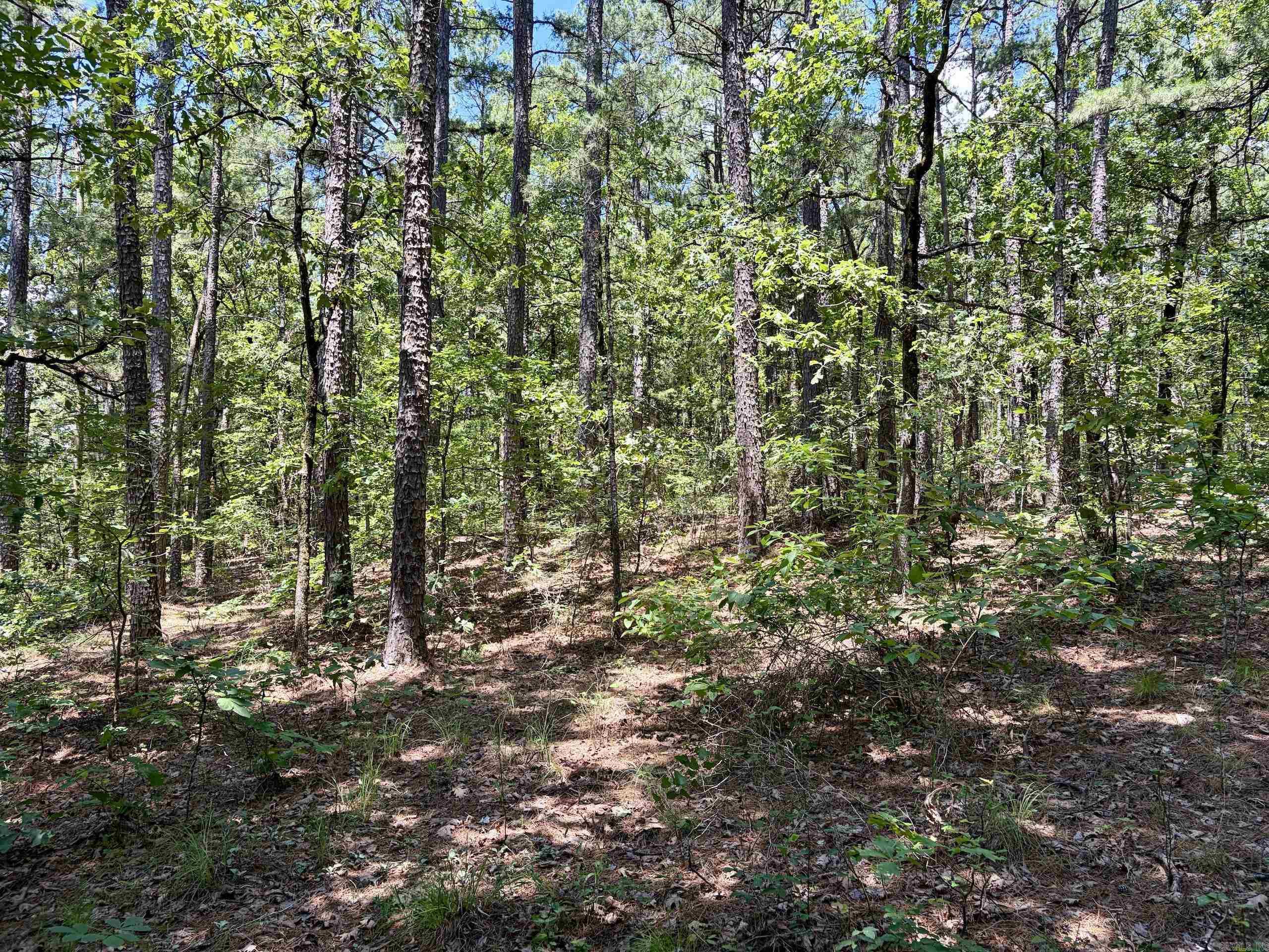 000 Fs Road 1678 Property Photo 28