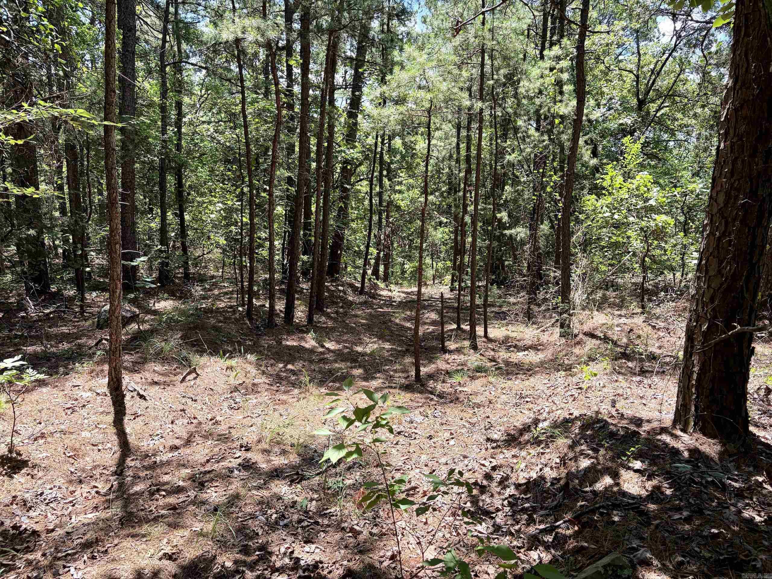 000 Fs Road 1678 Property Photo 29