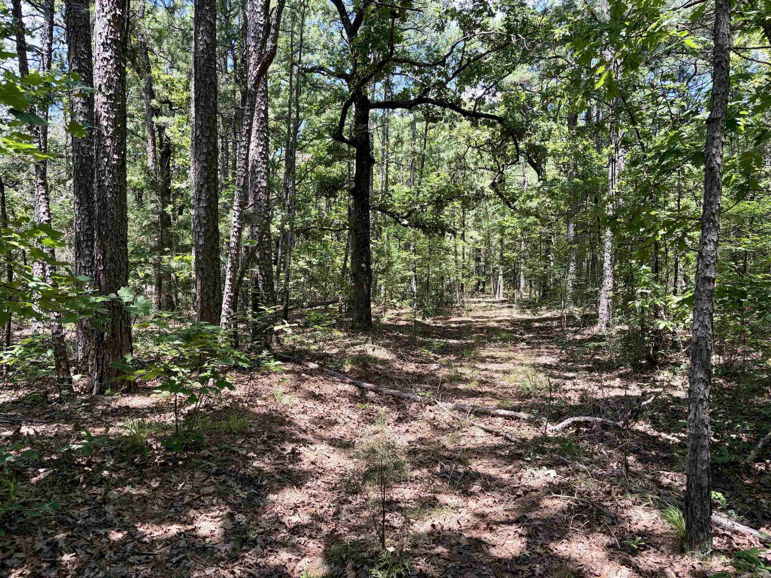 000 Fs Road 1678 Property Photo 31