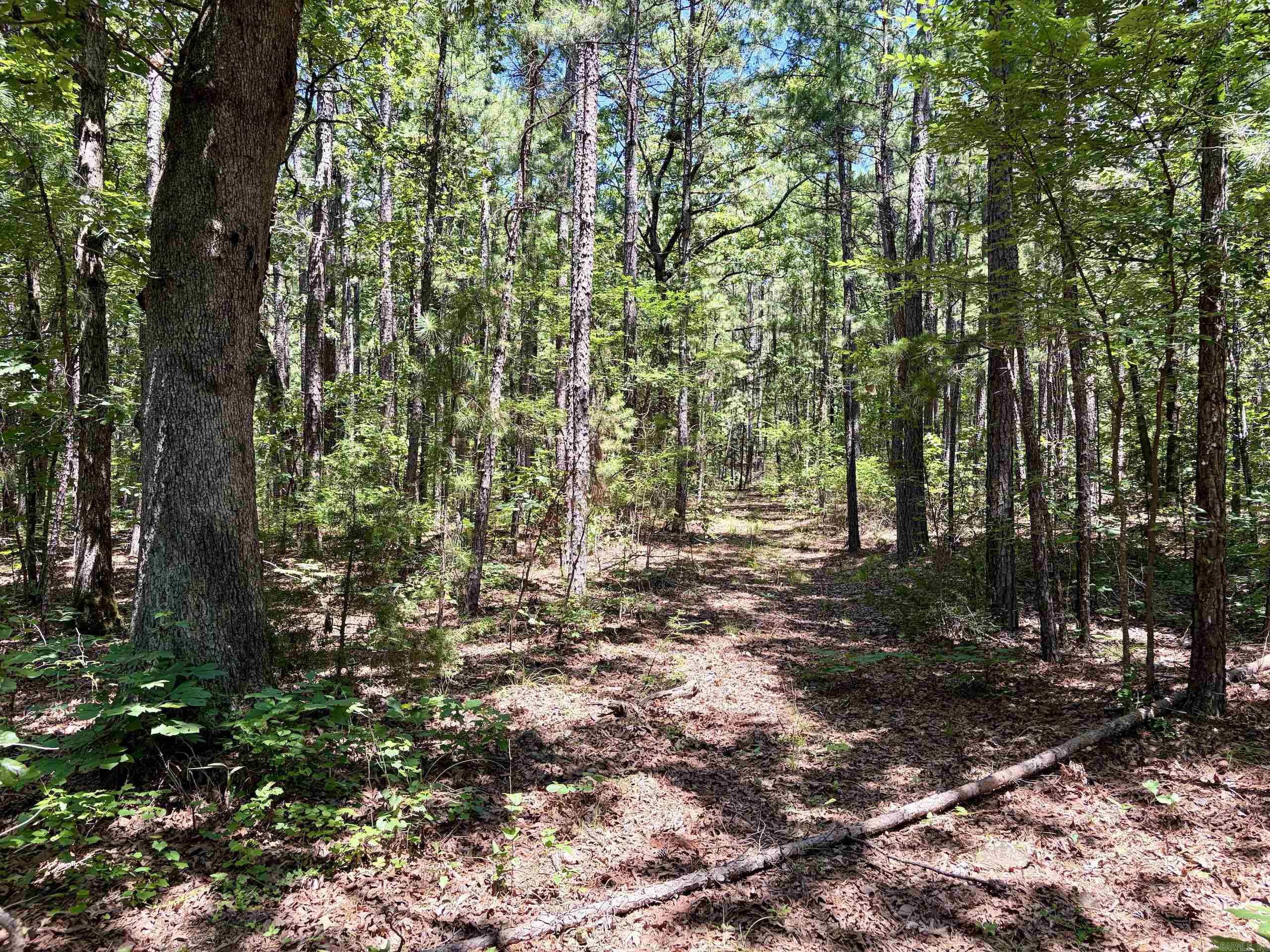 000 Fs Road 1678 Property Photo 32