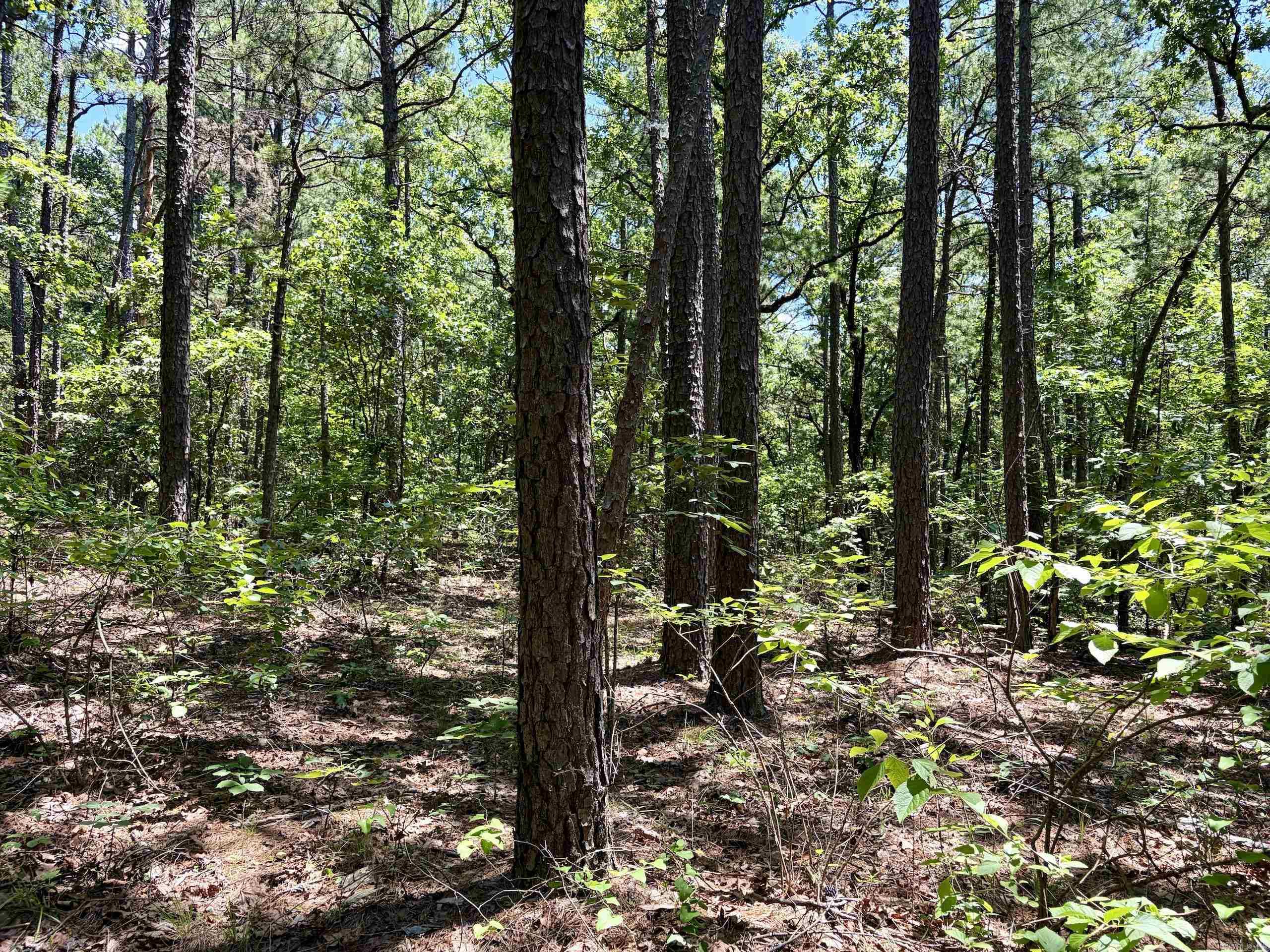 000 Fs Road 1678 Property Photo 33