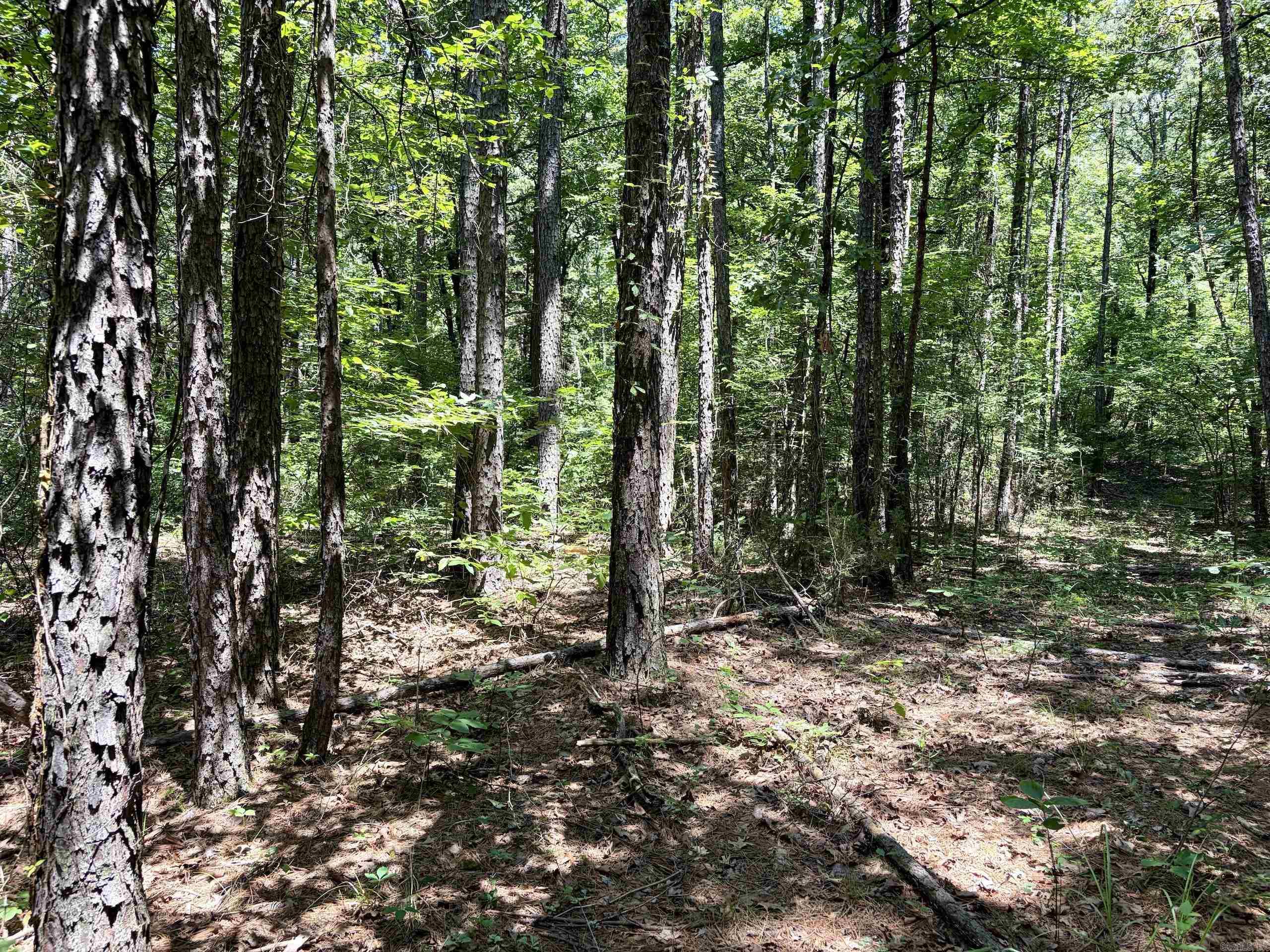 000 Fs Road 1678 Property Photo 35