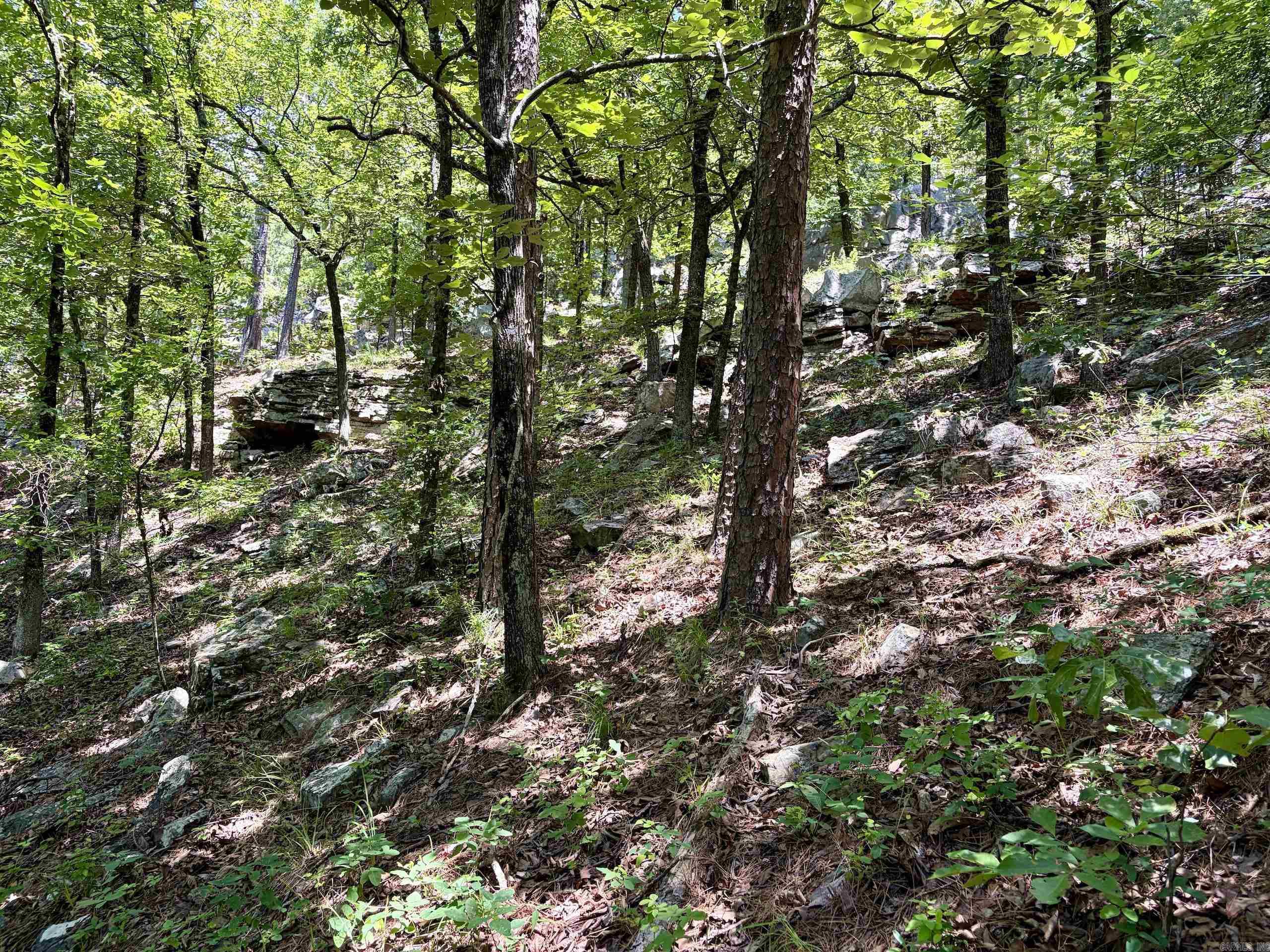 000 Fs Road 1678 Property Photo 39