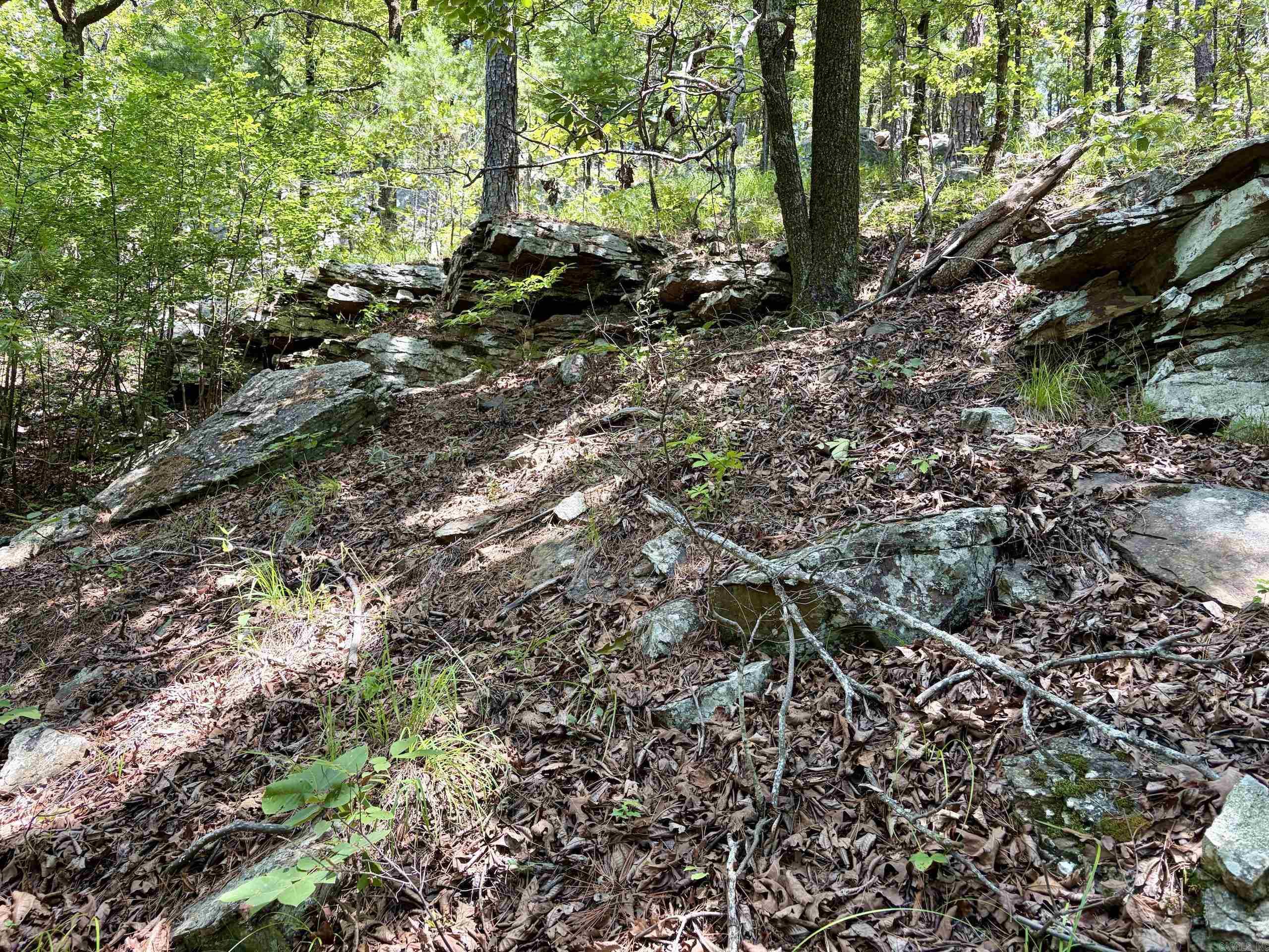 000 Fs Road 1678 Property Photo 40