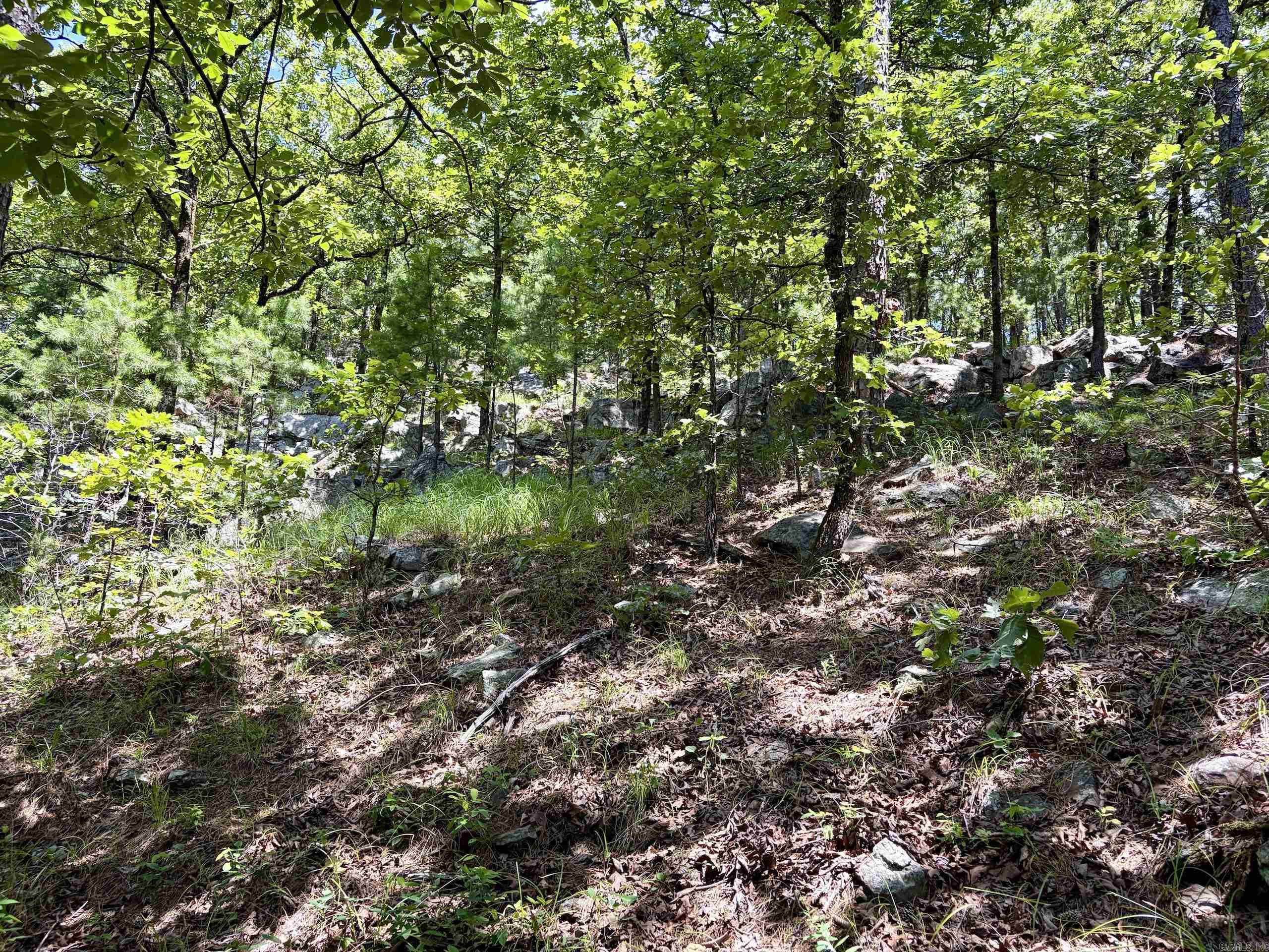 000 Fs Road 1678 Property Photo 42