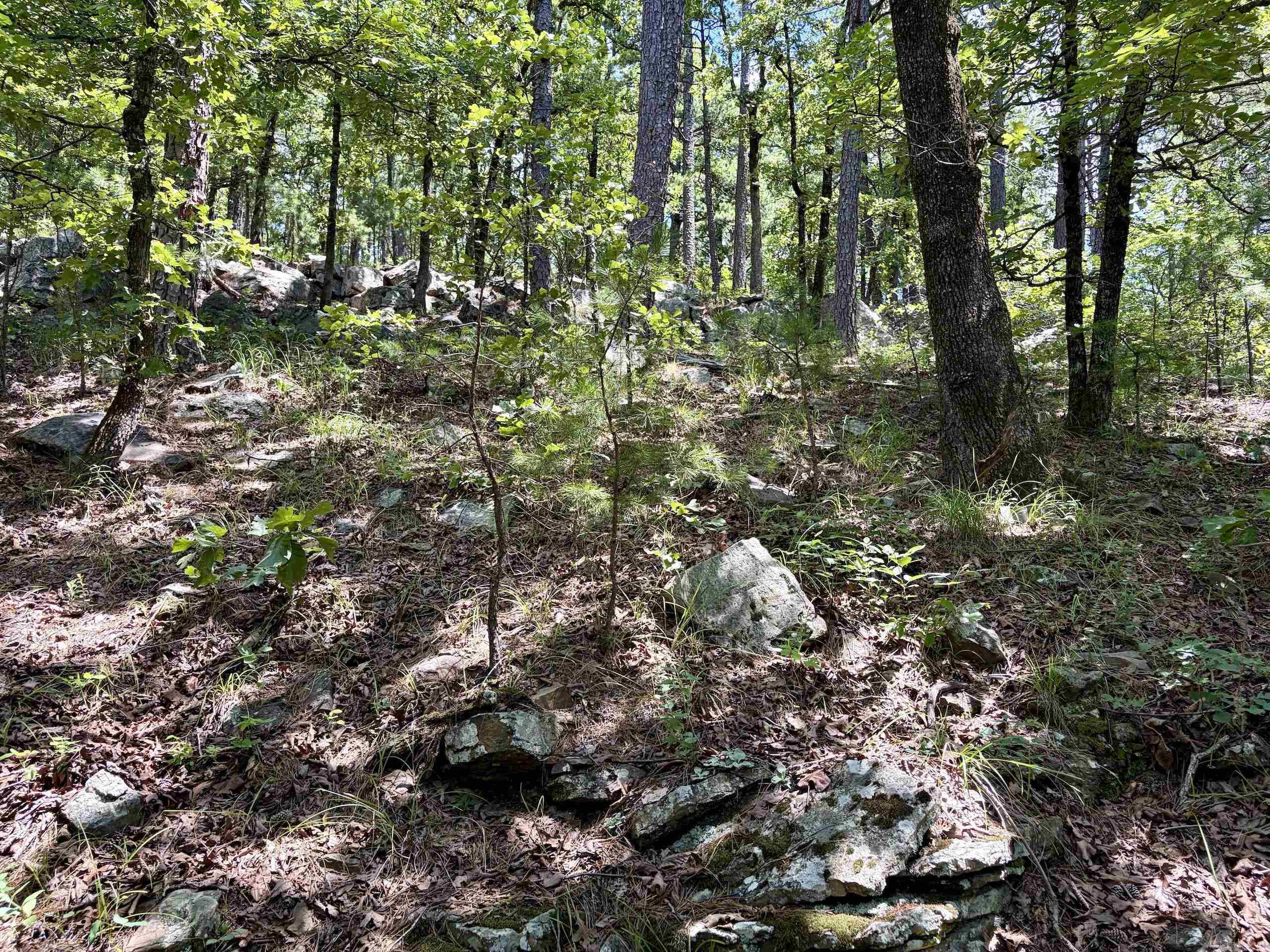000 Fs Road 1678 Property Photo 43