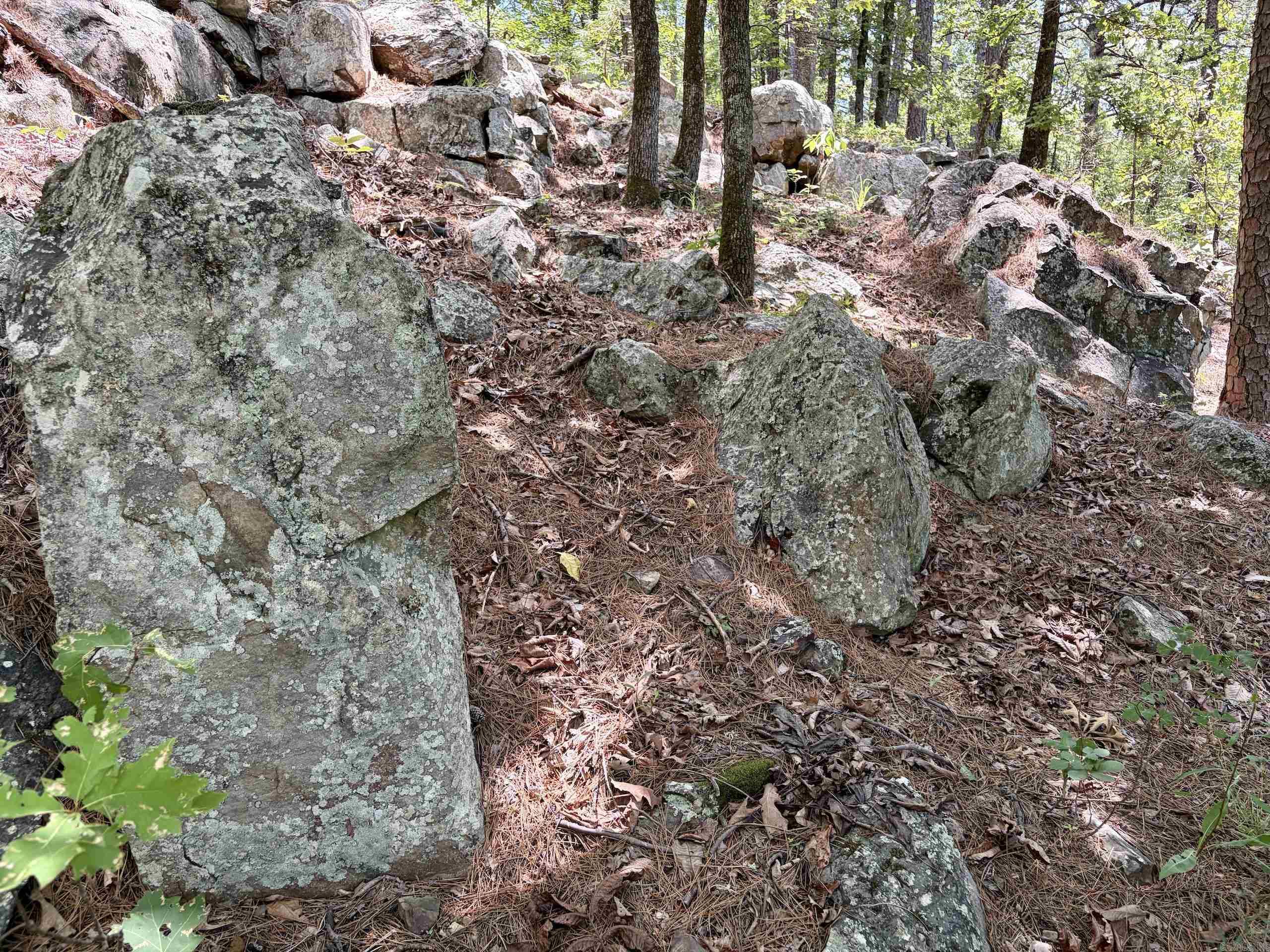 000 Fs Road 1678 Property Photo 44