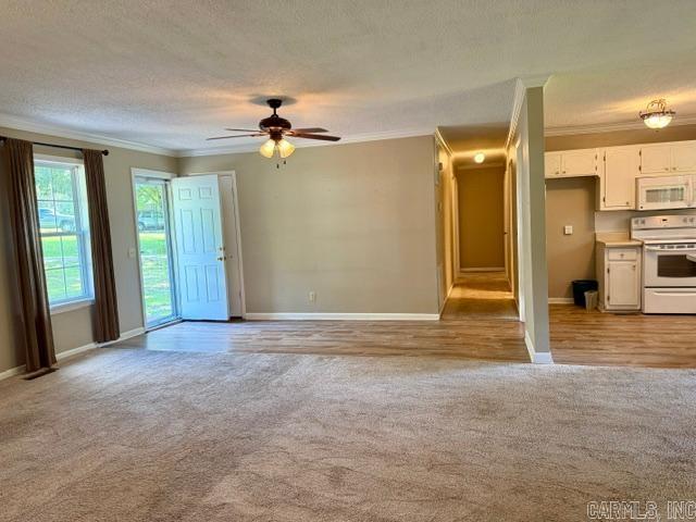 305 Vine Property Photo 5